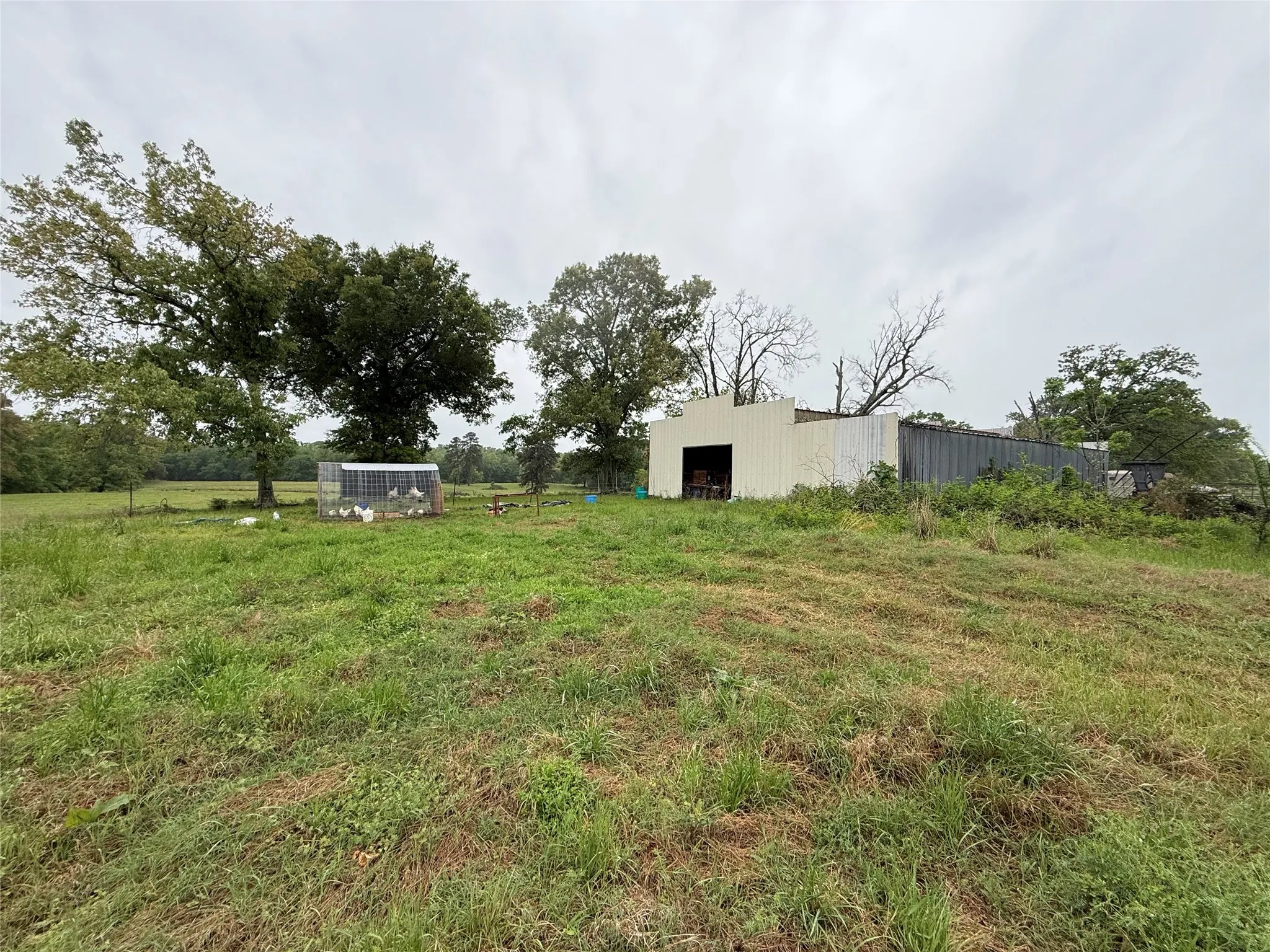 Unimproved Land For Sale in Henderson County , TBD FM 773, Murchison, Texas 75778, 0, 0, Garage spaces, 0 Sqft, built in 1993, mls#21220702, Real Estate Agent in Murchison, Homes For Sale in Henderson county, Homes For Sale in Murchison, Realtor in Murchison Texas, Real Estate Brokerage Independent Realty Texas, Luminita Cordes Realtor