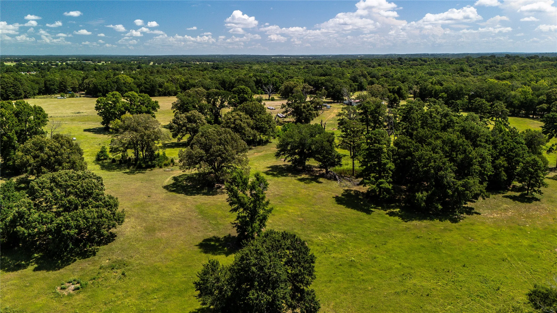 Unimproved Land For Sale in Henderson County , TBD FM 773, Murchison, Texas 75778, 0, 0, Garage spaces, 0 Sqft, built in 1993, mls#21220702, Real Estate Agent in Murchison, Homes For Sale in Henderson county, Homes For Sale in Murchison, Realtor in Murchison Texas, Real Estate Brokerage Independent Realty Texas, Luminita Cordes Realtor