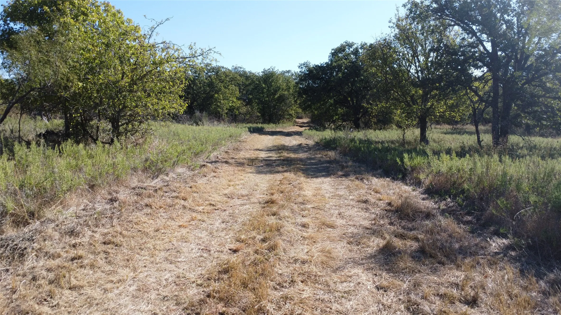 Ranch For Sale in Young County , 0000 Hwy 16 N, Graham, Texas 76450, 0, 0, Garage spaces, 0 Sqft, built in 0, mls#21220031, Real Estate Agent in Graham, Homes For Sale in Young county, Homes For Sale in Graham, Realtor in Graham Texas, Real Estate Brokerage Independent Realty Texas, Luminita Cordes Realtor