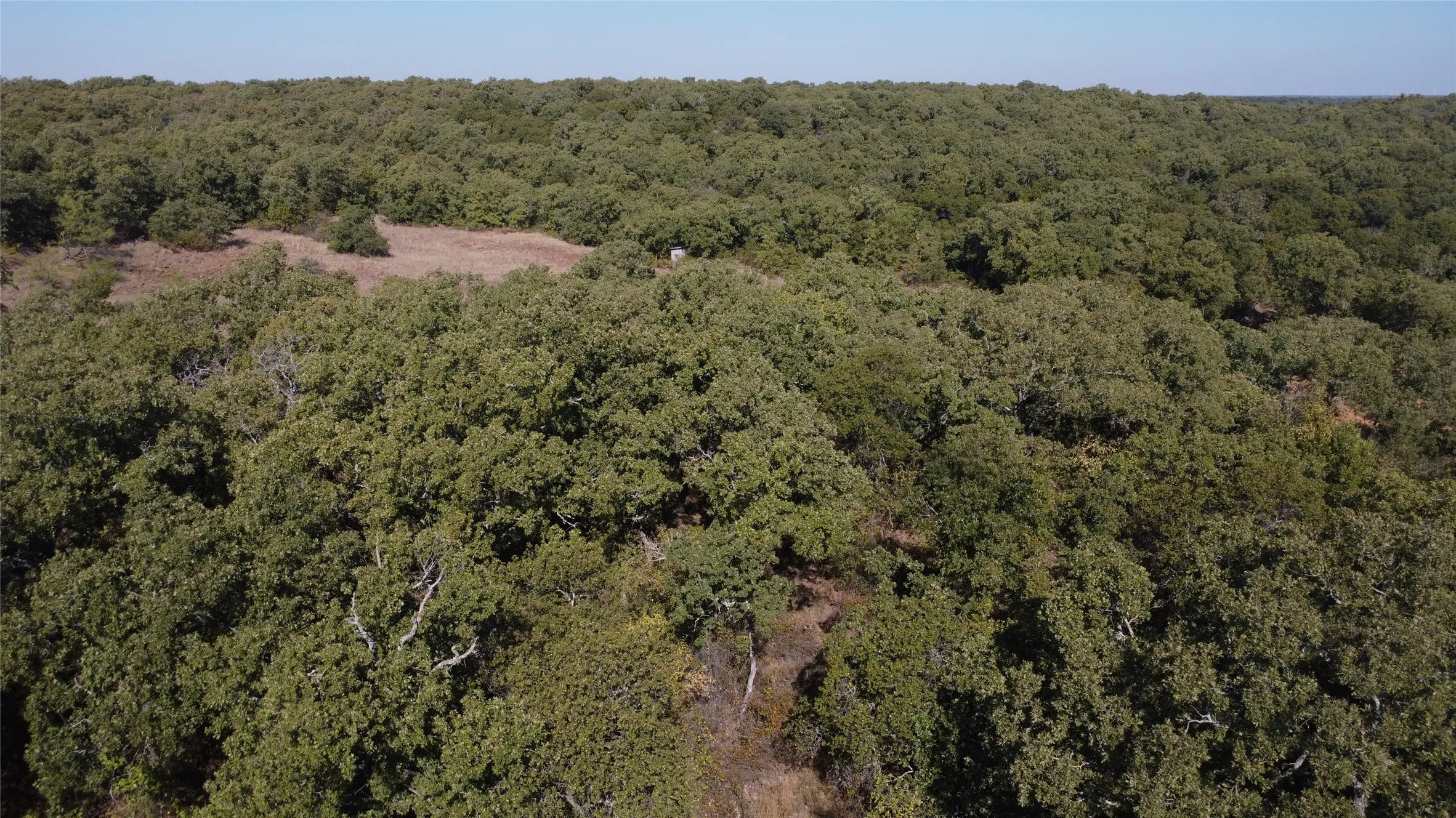 Ranch For Sale in Young County , 0000 Hwy 16 N, Graham, Texas 76450, 0, 0, Garage spaces, 0 Sqft, built in 0, mls#21220031, Real Estate Agent in Graham, Homes For Sale in Young county, Homes For Sale in Graham, Realtor in Graham Texas, Real Estate Brokerage Independent Realty Texas, Luminita Cordes Realtor