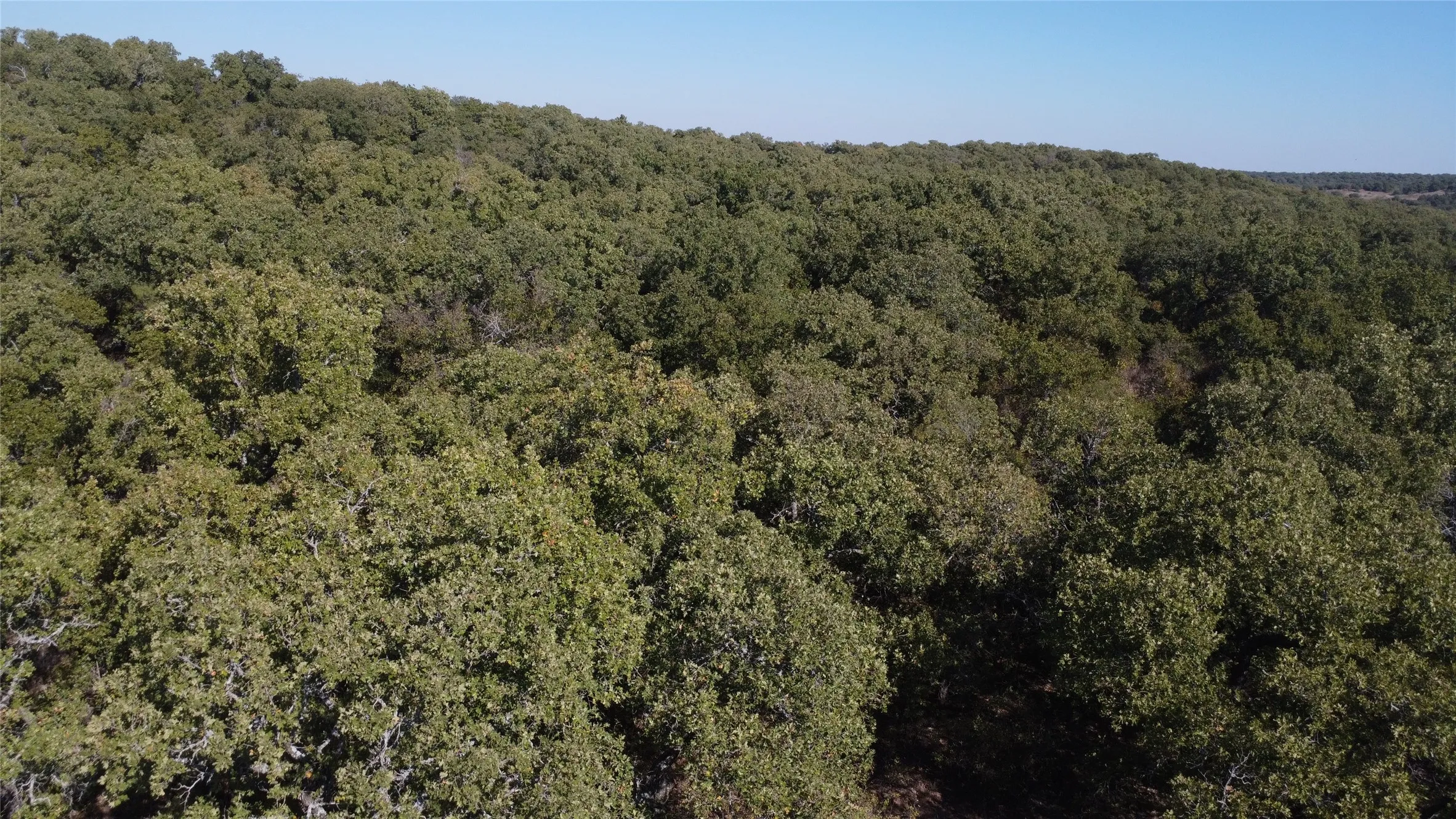 Ranch For Sale in Young County , 0000 Hwy 16 N, Graham, Texas 76450, 0, 0, Garage spaces, 0 Sqft, built in 0, mls#21220031, Real Estate Agent in Graham, Homes For Sale in Young county, Homes For Sale in Graham, Realtor in Graham Texas, Real Estate Brokerage Independent Realty Texas, Luminita Cordes Realtor