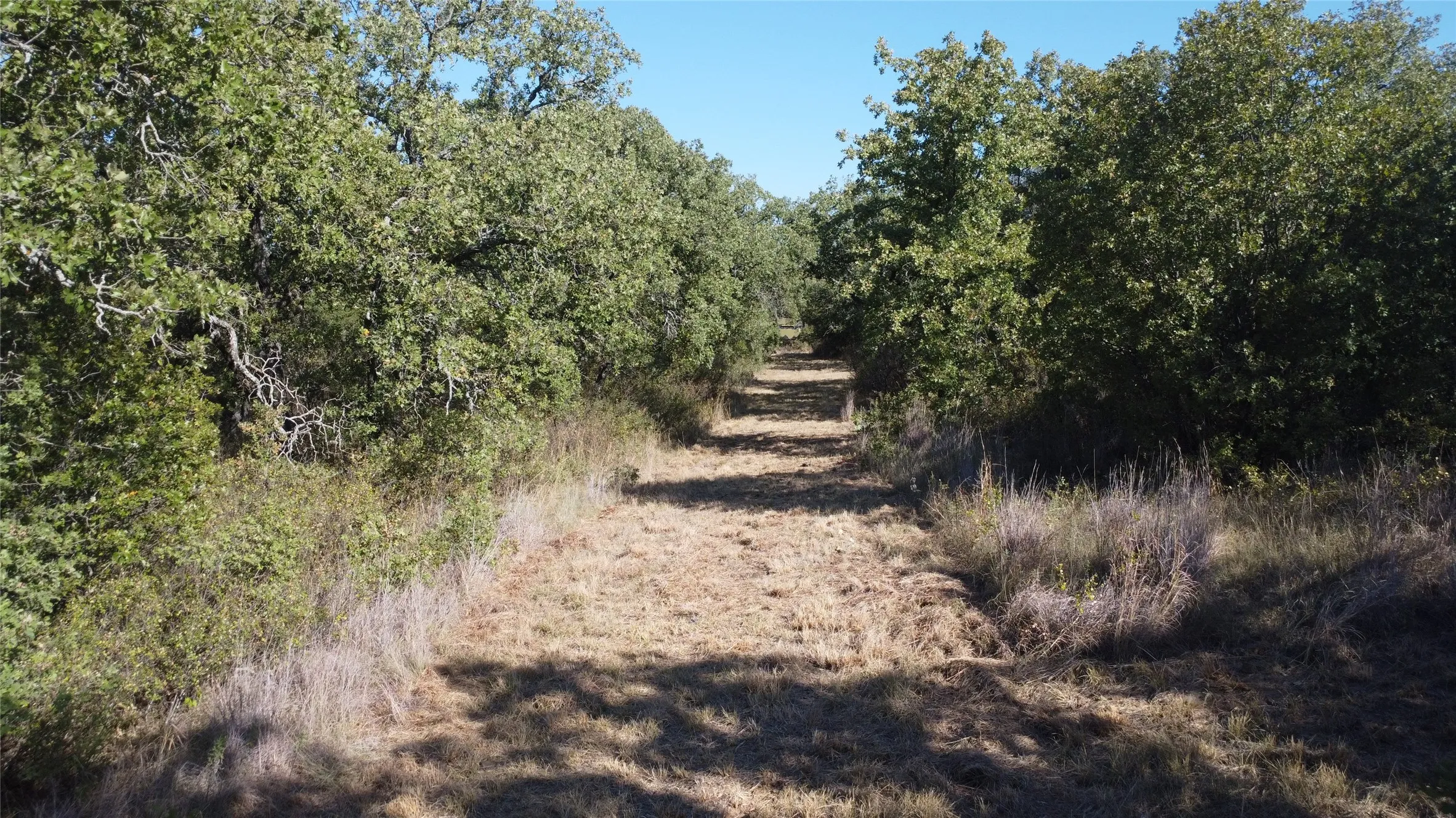 Ranch For Sale in Young County , 0000 Hwy 16 N, Graham, Texas 76450, 0, 0, Garage spaces, 0 Sqft, built in 0, mls#21220031, Real Estate Agent in Graham, Homes For Sale in Young county, Homes For Sale in Graham, Realtor in Graham Texas, Real Estate Brokerage Independent Realty Texas, Luminita Cordes Realtor