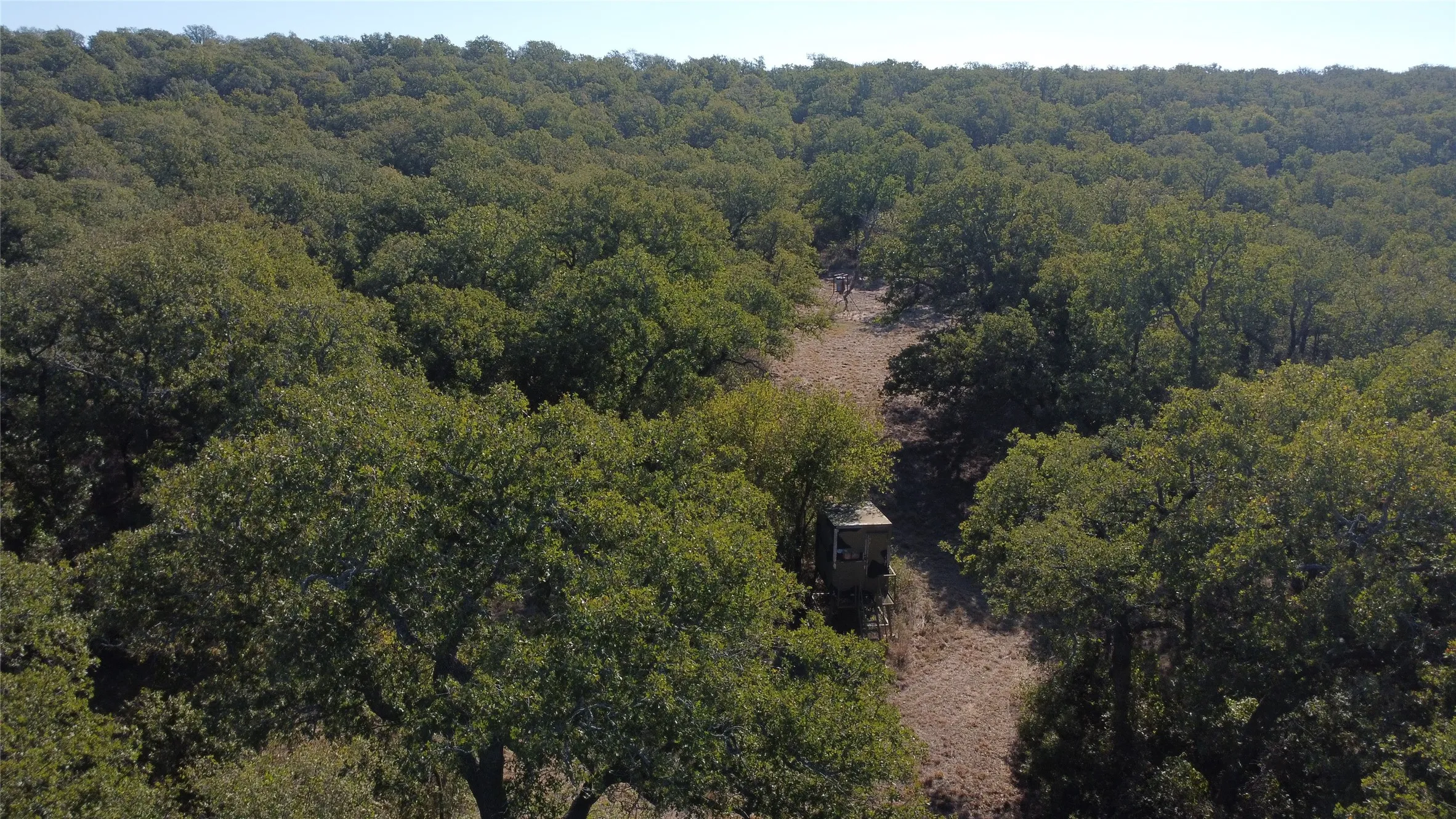 Ranch For Sale in Young County , 0000 Hwy 16 N, Graham, Texas 76450, 0, 0, Garage spaces, 0 Sqft, built in 0, mls#21220031, Real Estate Agent in Graham, Homes For Sale in Young county, Homes For Sale in Graham, Realtor in Graham Texas, Real Estate Brokerage Independent Realty Texas, Luminita Cordes Realtor