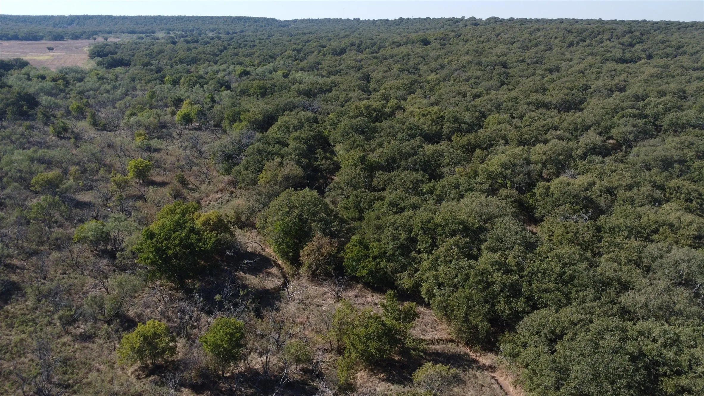 Ranch For Sale in Young County , 0000 Hwy 16 N, Graham, Texas 76450, 0, 0, Garage spaces, 0 Sqft, built in 0, mls#21220031, Real Estate Agent in Graham, Homes For Sale in Young county, Homes For Sale in Graham, Realtor in Graham Texas, Real Estate Brokerage Independent Realty Texas, Luminita Cordes Realtor