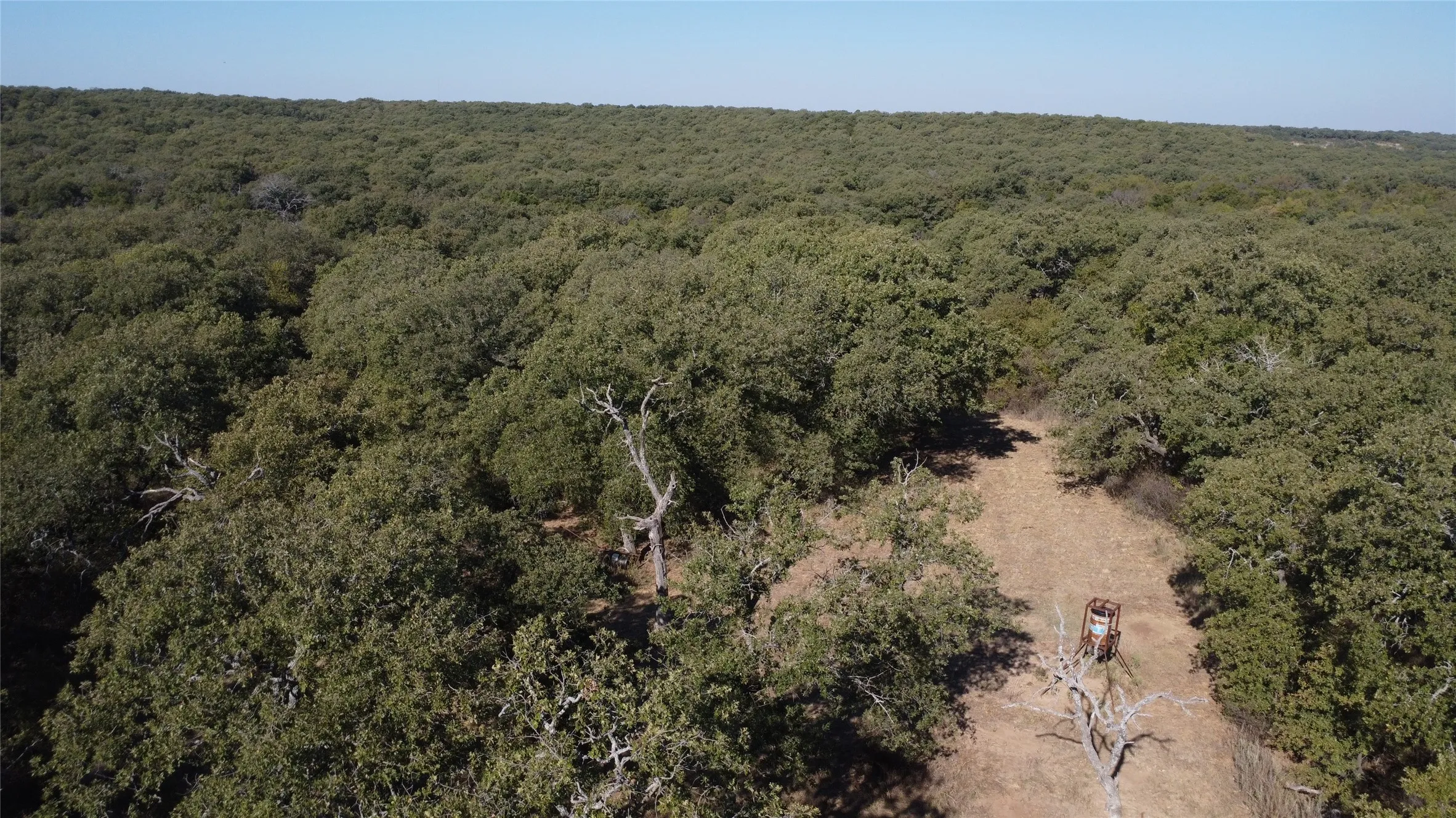 Ranch For Sale in Young County , 0000 Hwy 16 N, Graham, Texas 76450, 0, 0, Garage spaces, 0 Sqft, built in 0, mls#21220031, Real Estate Agent in Graham, Homes For Sale in Young county, Homes For Sale in Graham, Realtor in Graham Texas, Real Estate Brokerage Independent Realty Texas, Luminita Cordes Realtor
