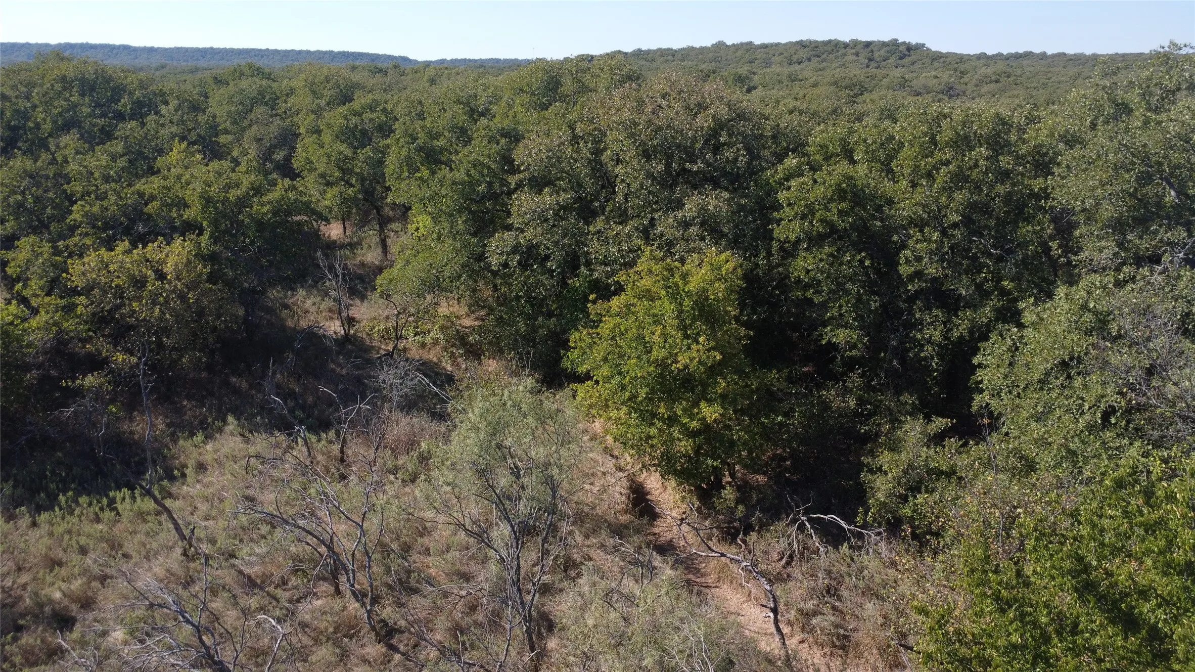 Ranch For Sale in Young County , 0000 Hwy 16 N, Graham, Texas 76450, 0, 0, Garage spaces, 0 Sqft, built in 0, mls#21220031, Real Estate Agent in Graham, Homes For Sale in Young county, Homes For Sale in Graham, Realtor in Graham Texas, Real Estate Brokerage Independent Realty Texas, Luminita Cordes Realtor