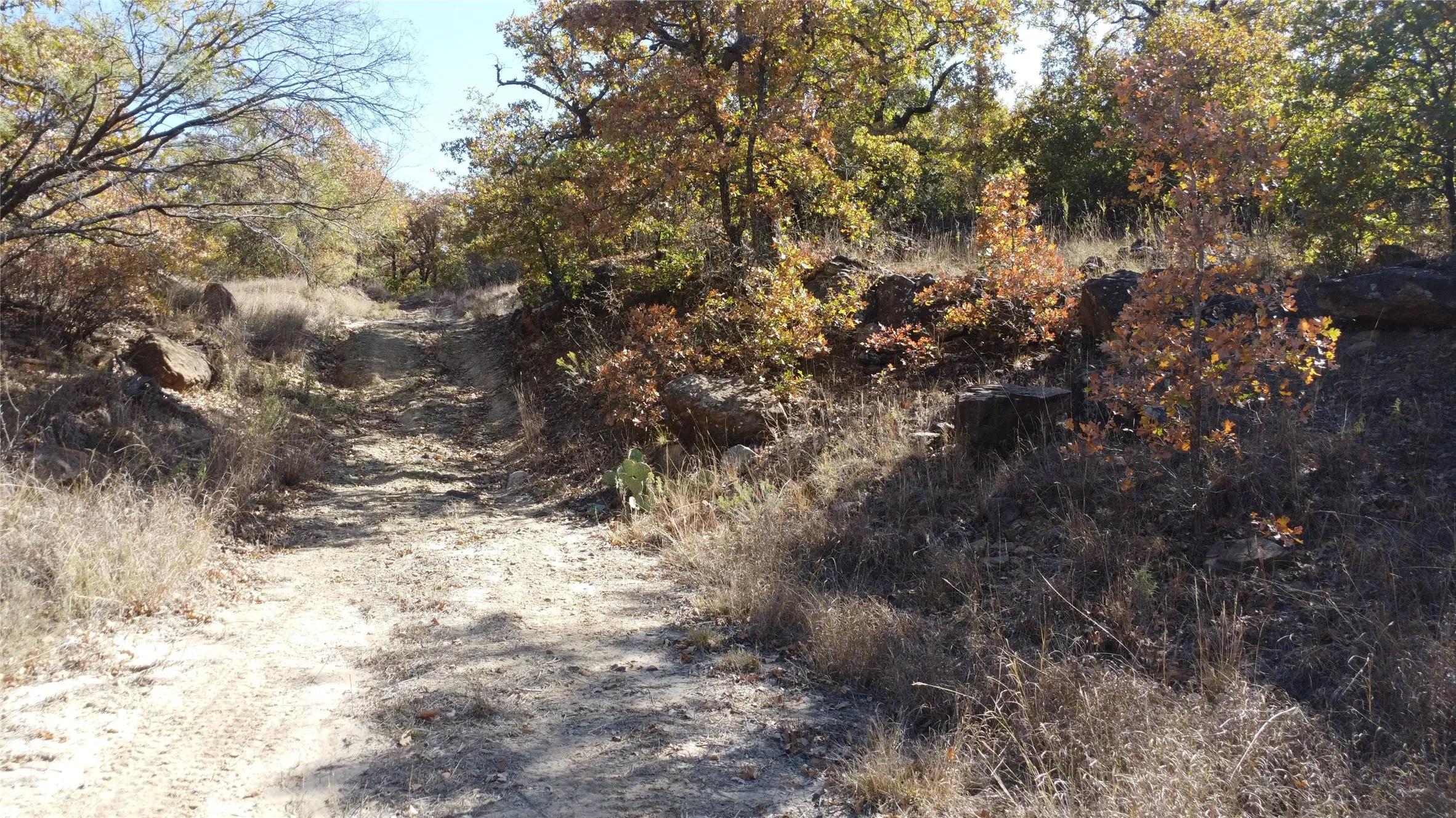 Ranch For Sale in Young County , 0000 Hwy 16 N, Graham, Texas 76450, 0, 0, Garage spaces, 0 Sqft, built in 0, mls#21220031, Real Estate Agent in Graham, Homes For Sale in Young county, Homes For Sale in Graham, Realtor in Graham Texas, Real Estate Brokerage Independent Realty Texas, Luminita Cordes Realtor