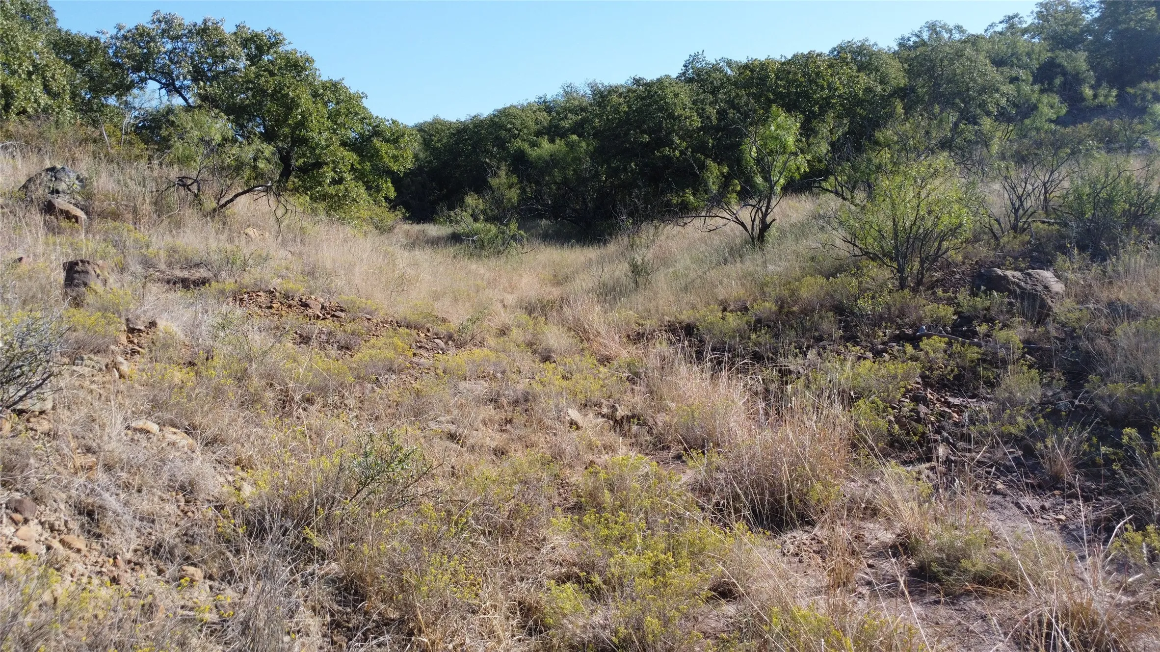 Ranch For Sale in Young County , 0000 Hwy 16 N, Graham, Texas 76450, 0, 0, Garage spaces, 0 Sqft, built in 0, mls#21220031, Real Estate Agent in Graham, Homes For Sale in Young county, Homes For Sale in Graham, Realtor in Graham Texas, Real Estate Brokerage Independent Realty Texas, Luminita Cordes Realtor