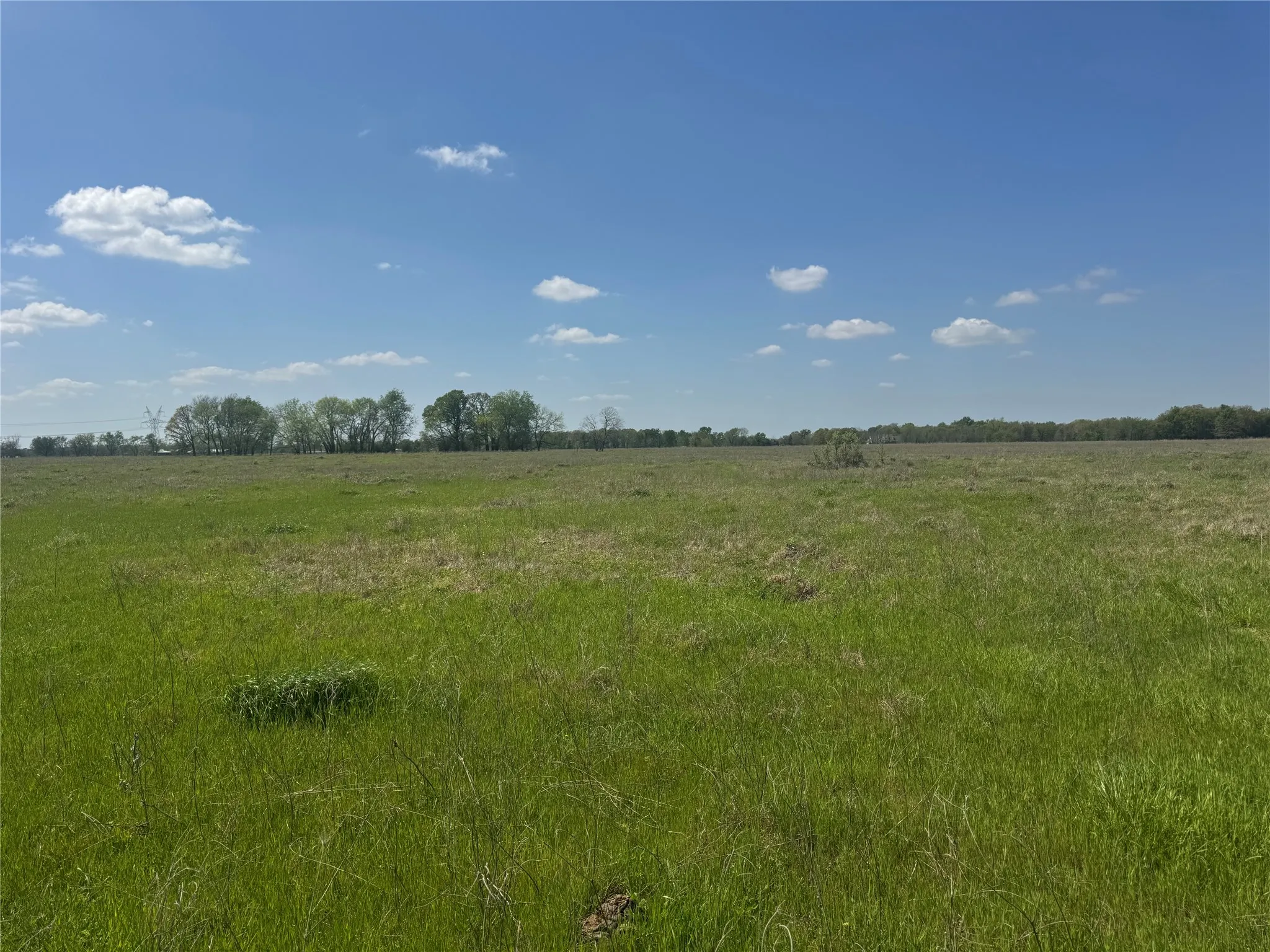 Ranch For Sale in Franklin (TX) County , 107 Hwy 37, Mount Vernon, Texas 75457, 0, 0, Garage spaces, 0 Sqft, built in 0, Price $673,687, mls#21220839, Real Estate Agent in Mount Vernon, Homes For Sale in Franklin (TX) county, Homes For Sale in Mount Vernon, Realtor in Mount Vernon Texas, Real Estate Brokerage Independent Realty Texas, Luminita Cordes Realtor