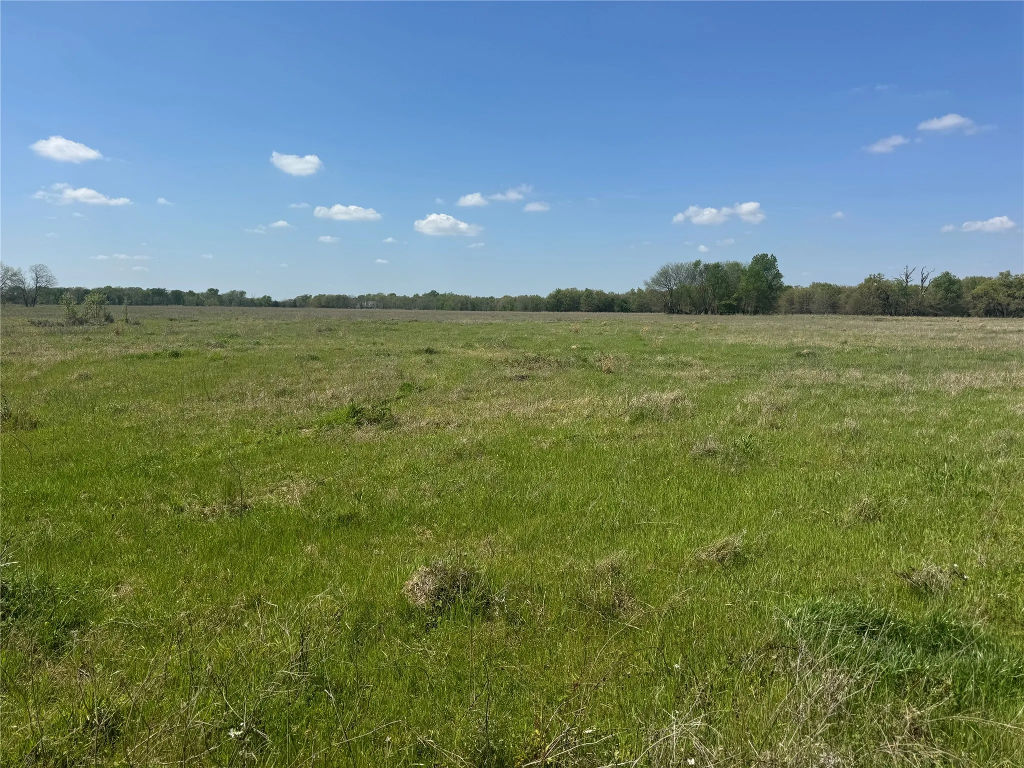 Ranch For Sale in Franklin (TX) County , 107 Hwy 37, Mount Vernon, Texas 75457, 0, 0, Garage spaces, 0 Sqft, built in 0, Price $673,687, mls#21220839, Real Estate Agent in Mount Vernon, Homes For Sale in Franklin (TX) county, Homes For Sale in Mount Vernon, Realtor in Mount Vernon Texas, Real Estate Brokerage Independent Realty Texas, Luminita Cordes Realtor