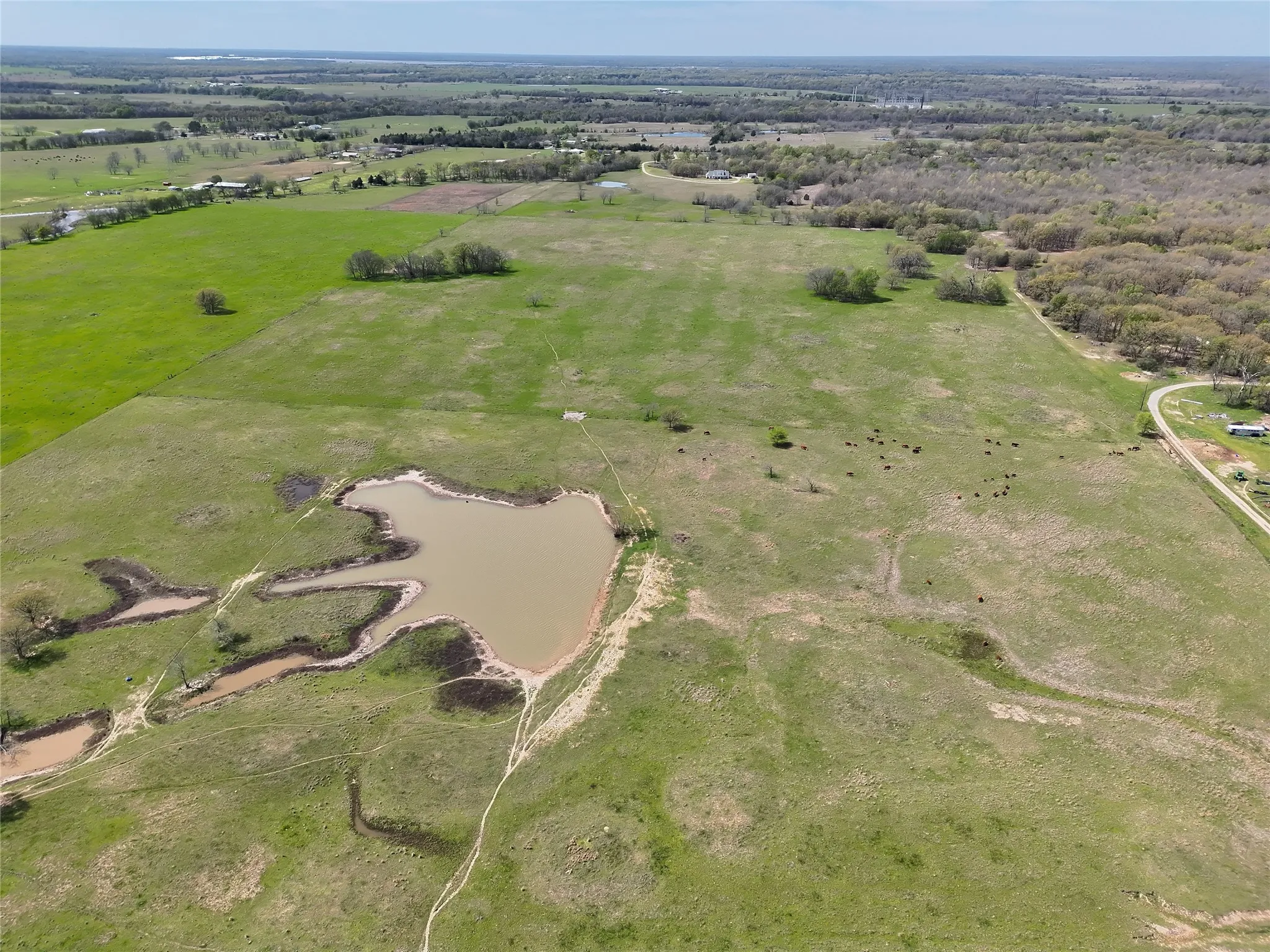 Ranch For Sale in Franklin (TX) County , 107 Hwy 37, Mount Vernon, Texas 75457, 0, 0, Garage spaces, 0 Sqft, built in 0, Price $673,687, mls#21220839, Real Estate Agent in Mount Vernon, Homes For Sale in Franklin (TX) county, Homes For Sale in Mount Vernon, Realtor in Mount Vernon Texas, Real Estate Brokerage Independent Realty Texas, Luminita Cordes Realtor