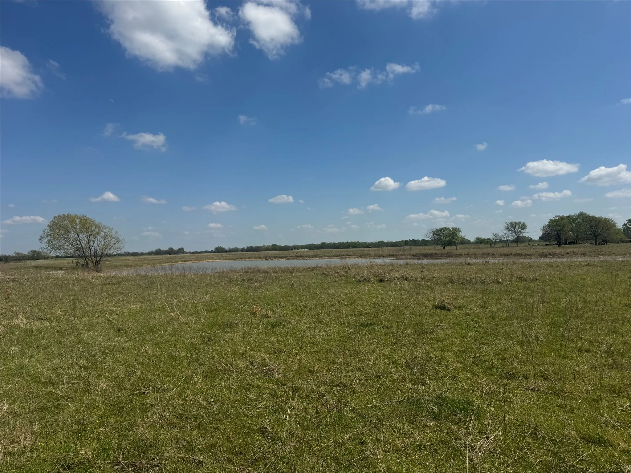 Ranch For Sale in Franklin (TX) County , 107 Hwy 37, Mount Vernon, Texas 75457, 0, 0, Garage spaces, 0 Sqft, built in 0, Price $673,687, mls#21220839, Real Estate Agent in Mount Vernon, Homes For Sale in Franklin (TX) county, Homes For Sale in Mount Vernon, Realtor in Mount Vernon Texas, Real Estate Brokerage Independent Realty Texas, Luminita Cordes Realtor