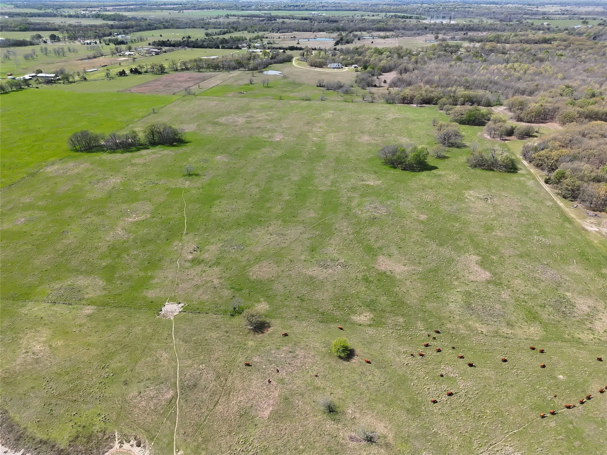 Ranch For Sale in Franklin (TX) County , 107 Hwy 37, Mount Vernon, Texas 75457, 0, 0, Garage spaces, 0 Sqft, built in 0, Price $673,687, mls#21220839, Real Estate Agent in Mount Vernon, Homes For Sale in Franklin (TX) county, Homes For Sale in Mount Vernon, Realtor in Mount Vernon Texas, Real Estate Brokerage Independent Realty Texas, Luminita Cordes Realtor