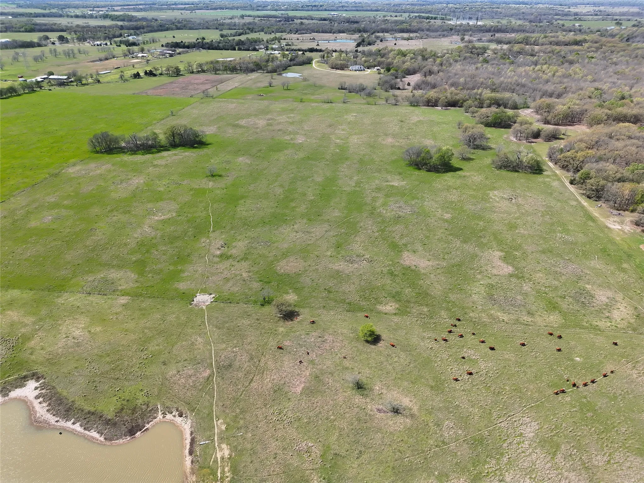 Ranch For Sale in Franklin (TX) County , 107 Hwy 37, Mount Vernon, Texas 75457, 0, 0, Garage spaces, 0 Sqft, built in 0, Price $673,687, mls#21220839, Real Estate Agent in Mount Vernon, Homes For Sale in Franklin (TX) county, Homes For Sale in Mount Vernon, Realtor in Mount Vernon Texas, Real Estate Brokerage Independent Realty Texas, Luminita Cordes Realtor