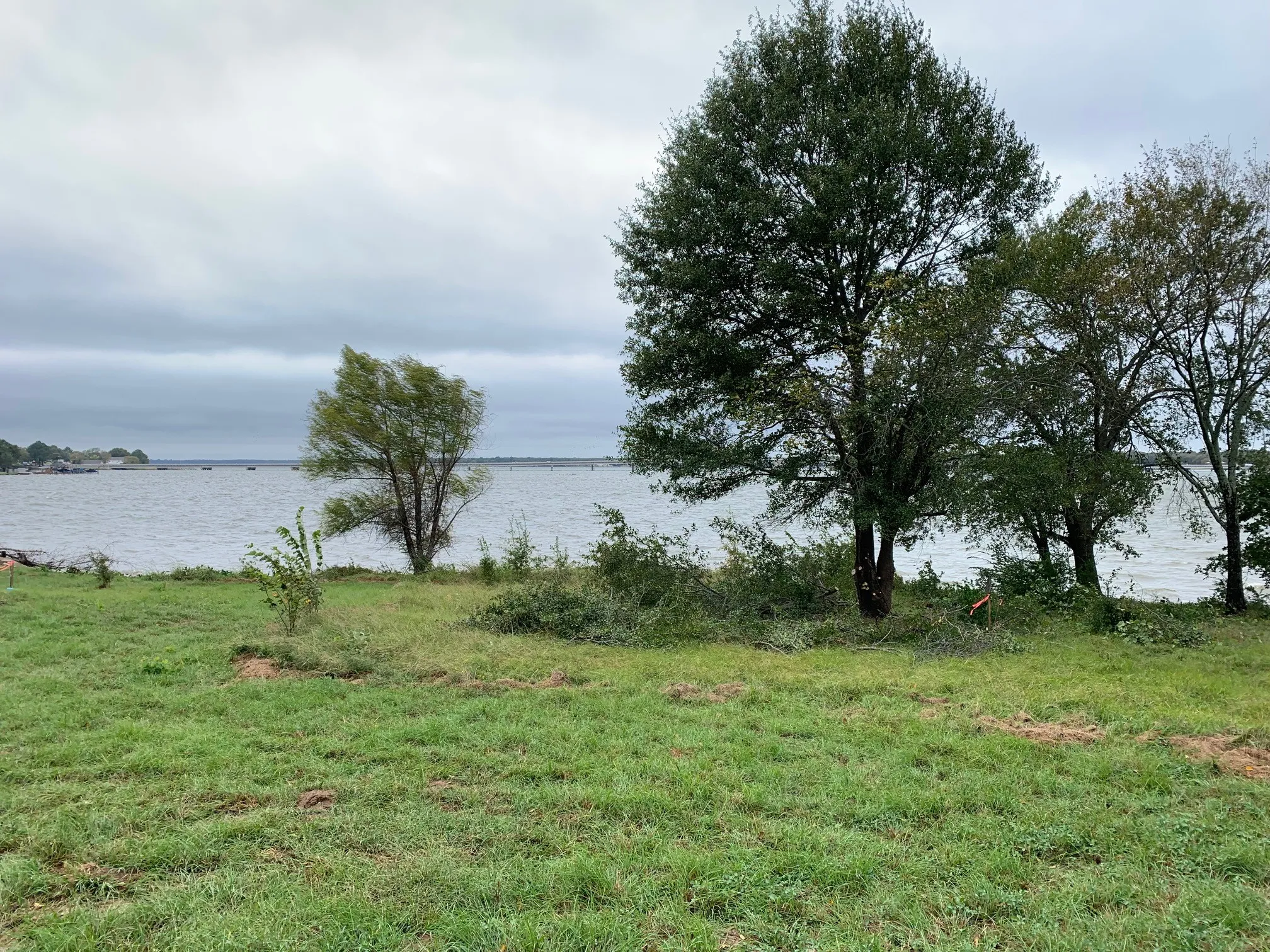 Unimproved Land For Sale in Henderson County , TBD Merry Oaks Lane, Eustace, Texas 75124, 0, 0, Garage spaces, 0 Sqft, built in 0, mls#21220865, Real Estate Agent in Eustace, Homes For Sale in Henderson county, Homes For Sale in Eustace, Realtor in Eustace Texas, Real Estate Brokerage Independent Realty Texas, Luminita Cordes Realtor