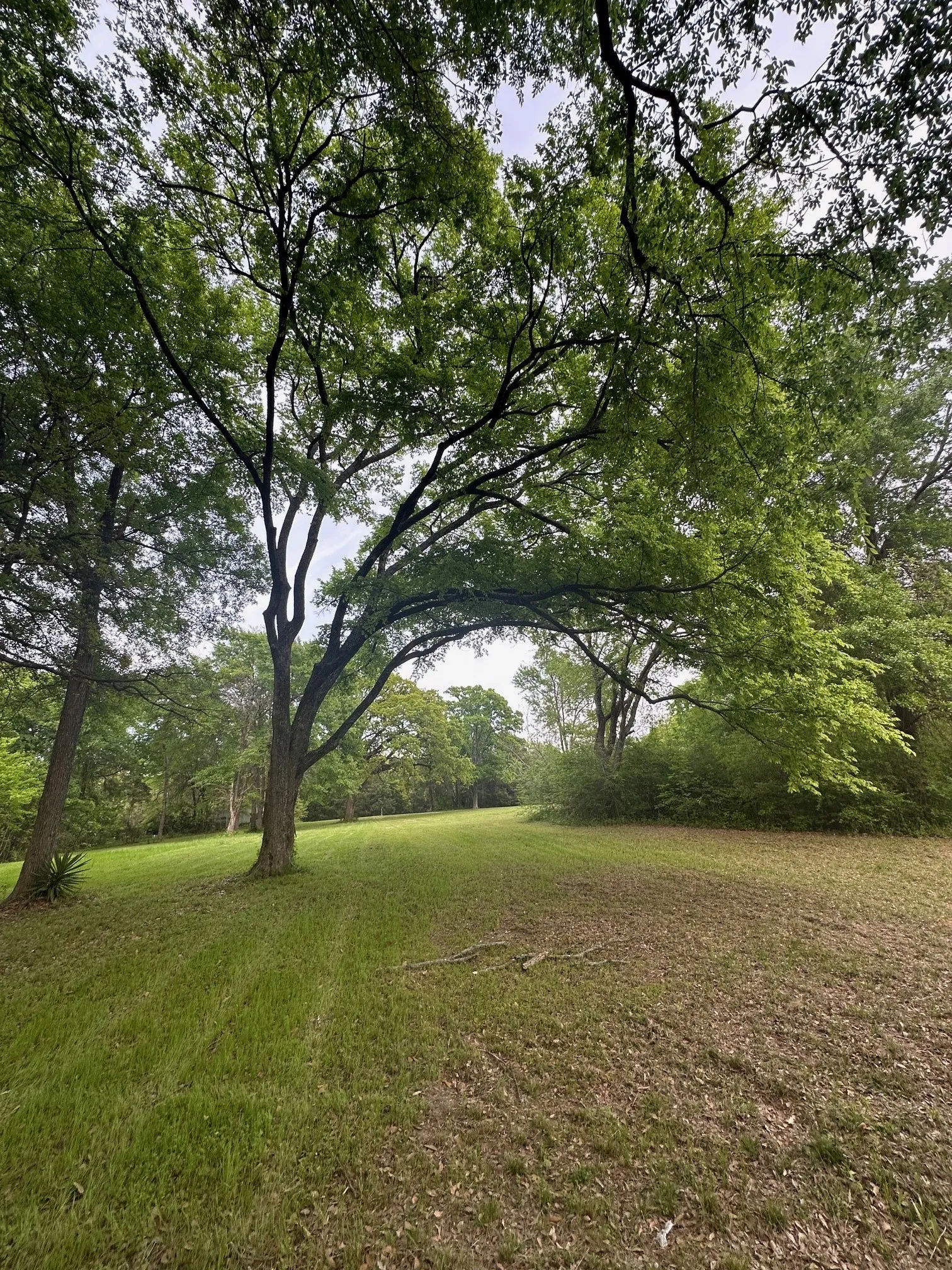 Unimproved Land For Sale in Henderson County , TBD Merry Oaks Lane, Eustace, Texas 75124, 0, 0, Garage spaces, 0 Sqft, built in 0, mls#21220865, Real Estate Agent in Eustace, Homes For Sale in Henderson county, Homes For Sale in Eustace, Realtor in Eustace Texas, Real Estate Brokerage Independent Realty Texas, Luminita Cordes Realtor