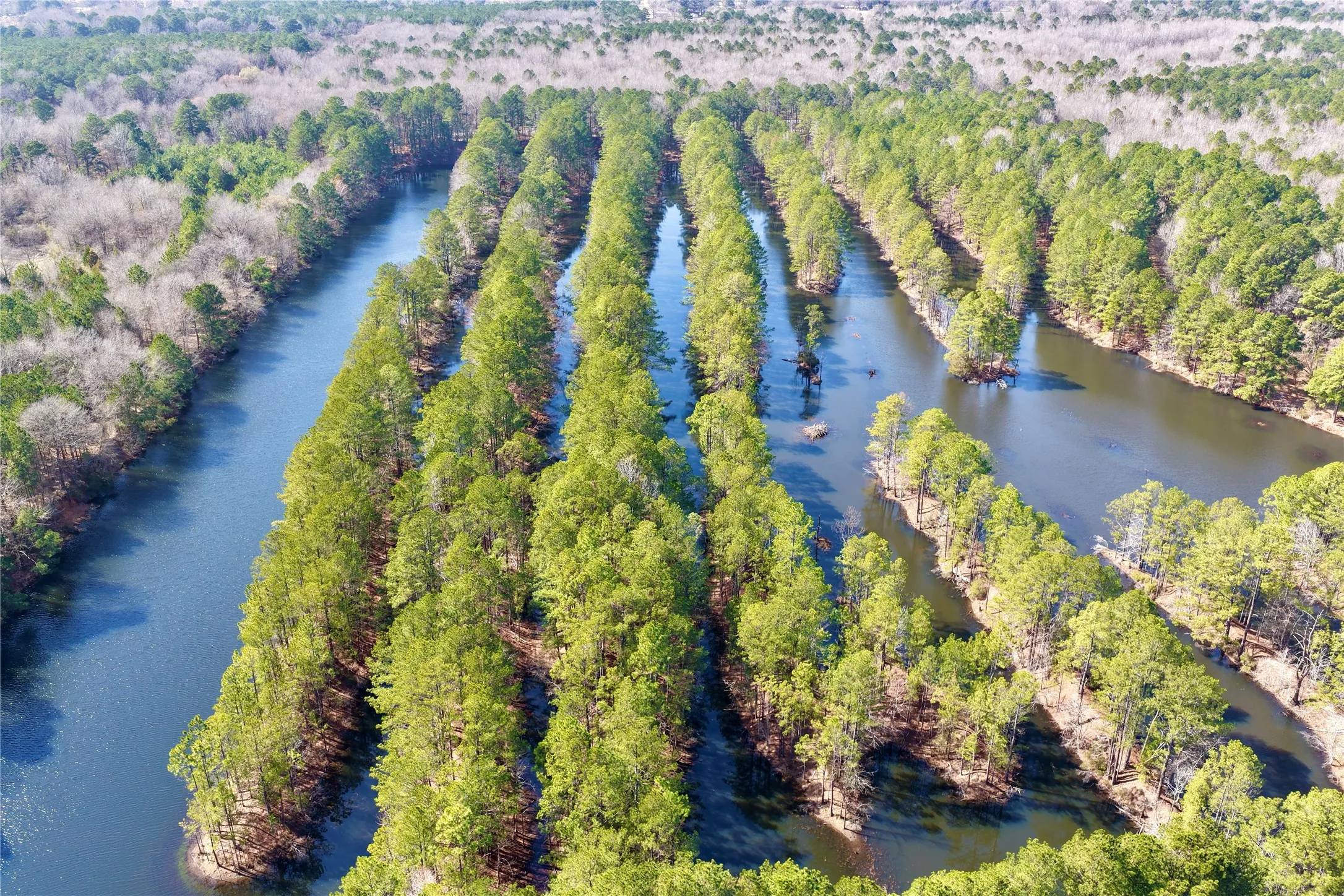 Ranch For Sale in Bowie County , 0000 Stateline Road, Texarkana, Texas 75501, 0, 0, Garage spaces, 0 Sqft, built in 0, mls#21221051, Real Estate Agent in Texarkana, Homes For Sale in Bowie county, Homes For Sale in Texarkana, Realtor in Texarkana Texas, Real Estate Brokerage Independent Realty Texas, Luminita Cordes Realtor