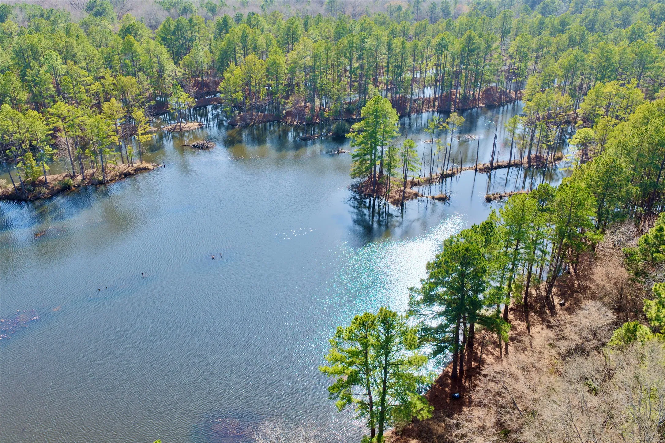 Ranch For Sale in Bowie County , 0000 Stateline Road, Texarkana, Texas 75501, 0, 0, Garage spaces, 0 Sqft, built in 0, mls#21221051, Real Estate Agent in Texarkana, Homes For Sale in Bowie county, Homes For Sale in Texarkana, Realtor in Texarkana Texas, Real Estate Brokerage Independent Realty Texas, Luminita Cordes Realtor