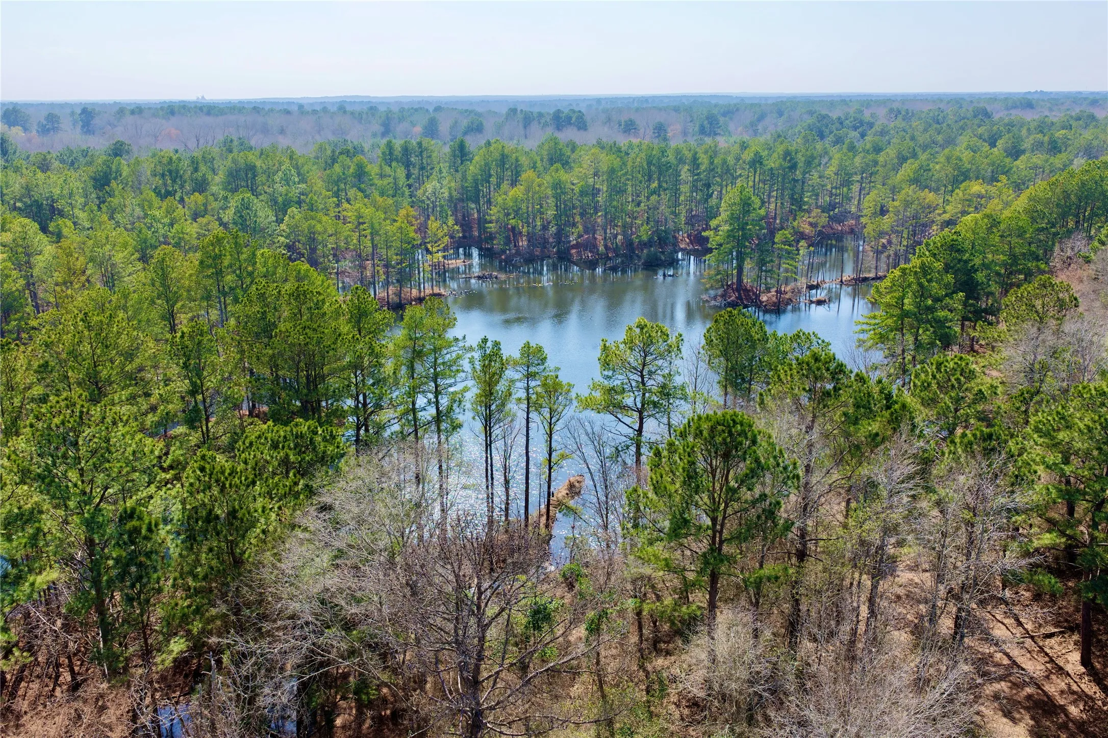Ranch For Sale in Bowie County , 0000 Stateline Road, Texarkana, Texas 75501, 0, 0, Garage spaces, 0 Sqft, built in 0, mls#21221051, Real Estate Agent in Texarkana, Homes For Sale in Bowie county, Homes For Sale in Texarkana, Realtor in Texarkana Texas, Real Estate Brokerage Independent Realty Texas, Luminita Cordes Realtor