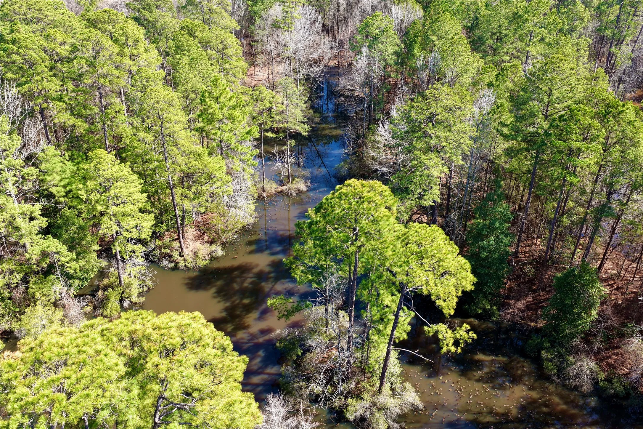 Ranch For Sale in Bowie County , 0000 Stateline Road, Texarkana, Texas 75501, 0, 0, Garage spaces, 0 Sqft, built in 0, mls#21221051, Real Estate Agent in Texarkana, Homes For Sale in Bowie county, Homes For Sale in Texarkana, Realtor in Texarkana Texas, Real Estate Brokerage Independent Realty Texas, Luminita Cordes Realtor
