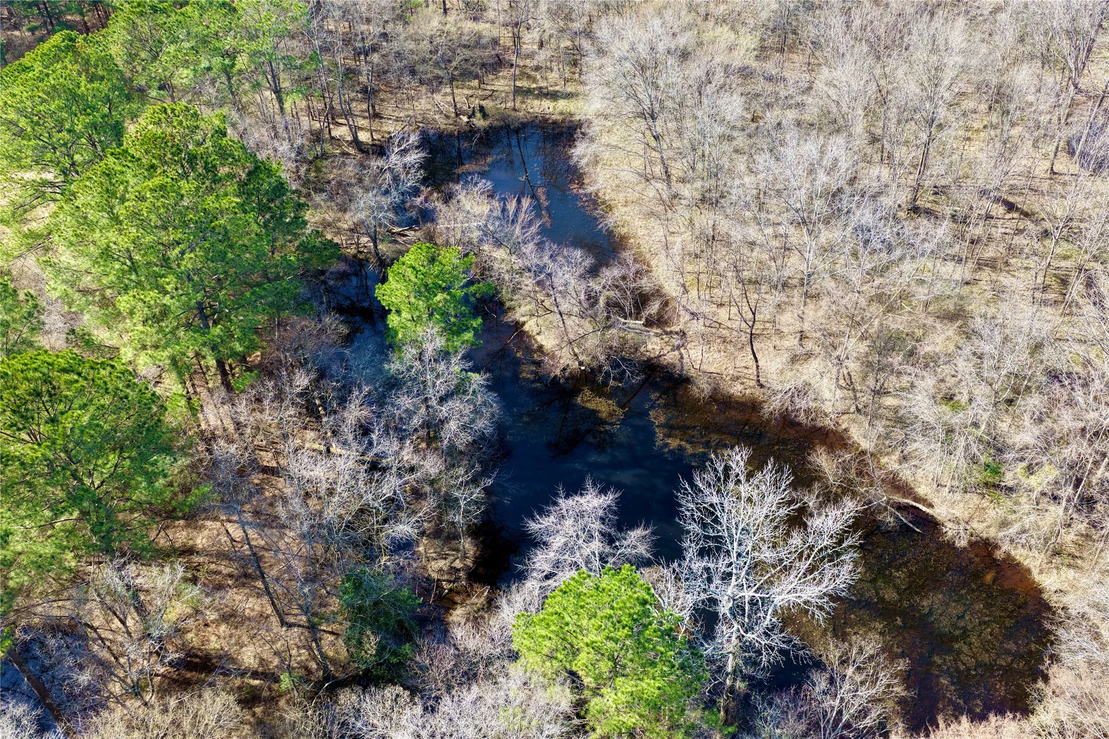 Ranch For Sale in Bowie County , 0000 Stateline Road, Texarkana, Texas 75501, 0, 0, Garage spaces, 0 Sqft, built in 0, mls#21221051, Real Estate Agent in Texarkana, Homes For Sale in Bowie county, Homes For Sale in Texarkana, Realtor in Texarkana Texas, Real Estate Brokerage Independent Realty Texas, Luminita Cordes Realtor