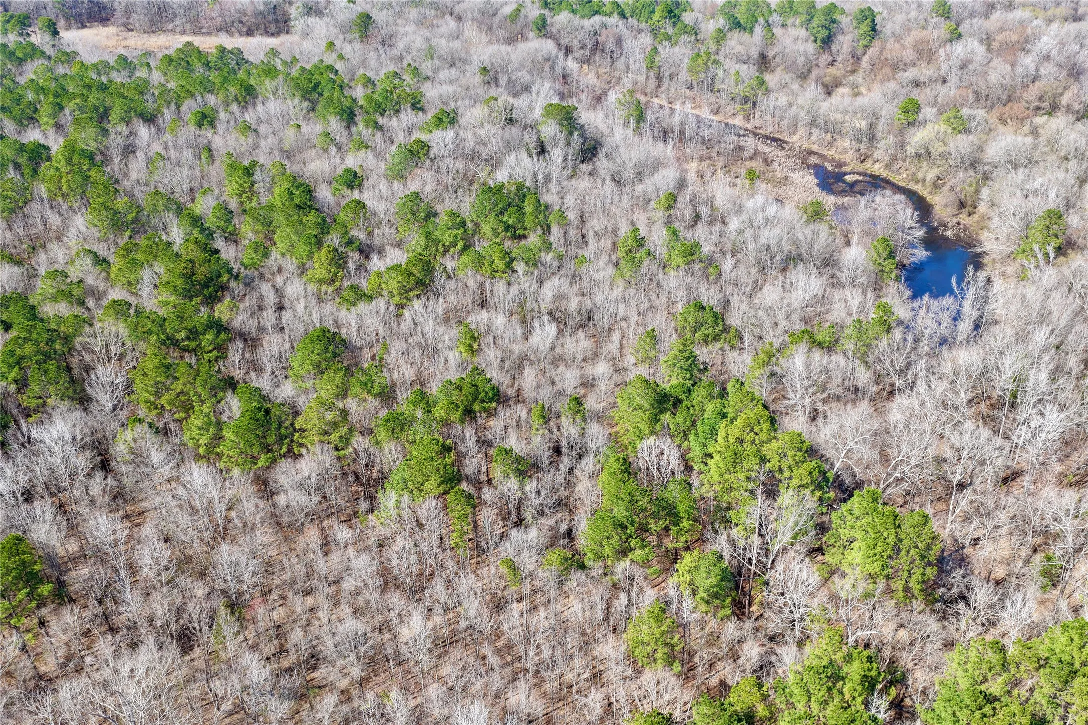Ranch For Sale in Bowie County , 0000 Stateline Road, Texarkana, Texas 75501, 0, 0, Garage spaces, 0 Sqft, built in 0, mls#21221051, Real Estate Agent in Texarkana, Homes For Sale in Bowie county, Homes For Sale in Texarkana, Realtor in Texarkana Texas, Real Estate Brokerage Independent Realty Texas, Luminita Cordes Realtor