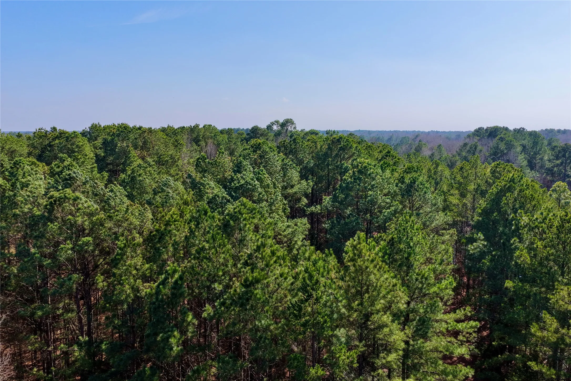 Ranch For Sale in Bowie County , 0000 Stateline Road, Texarkana, Texas 75501, 0, 0, Garage spaces, 0 Sqft, built in 0, mls#21221051, Real Estate Agent in Texarkana, Homes For Sale in Bowie county, Homes For Sale in Texarkana, Realtor in Texarkana Texas, Real Estate Brokerage Independent Realty Texas, Luminita Cordes Realtor