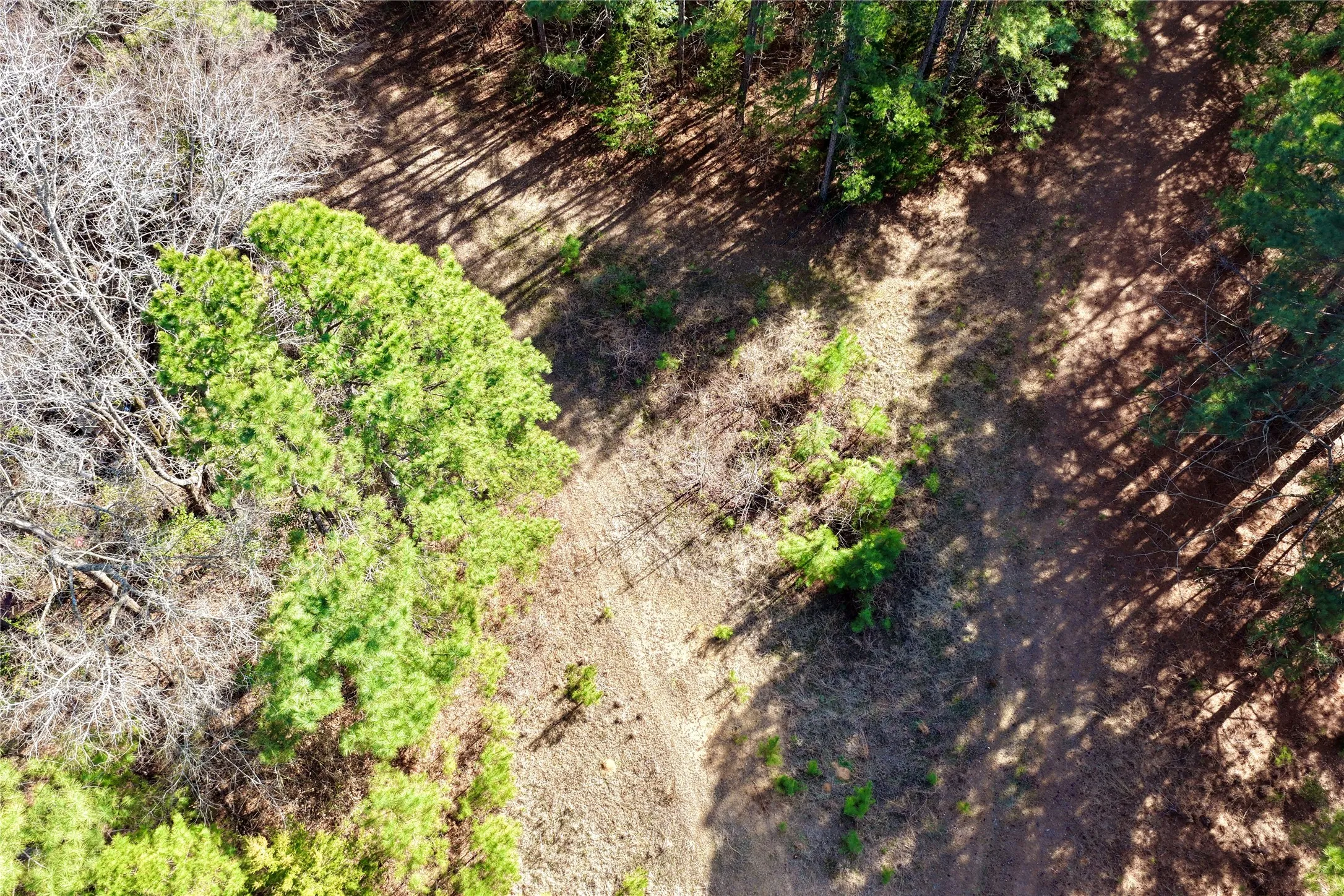 Ranch For Sale in Bowie County , 0000 Stateline Road, Texarkana, Texas 75501, 0, 0, Garage spaces, 0 Sqft, built in 0, mls#21221051, Real Estate Agent in Texarkana, Homes For Sale in Bowie county, Homes For Sale in Texarkana, Realtor in Texarkana Texas, Real Estate Brokerage Independent Realty Texas, Luminita Cordes Realtor
