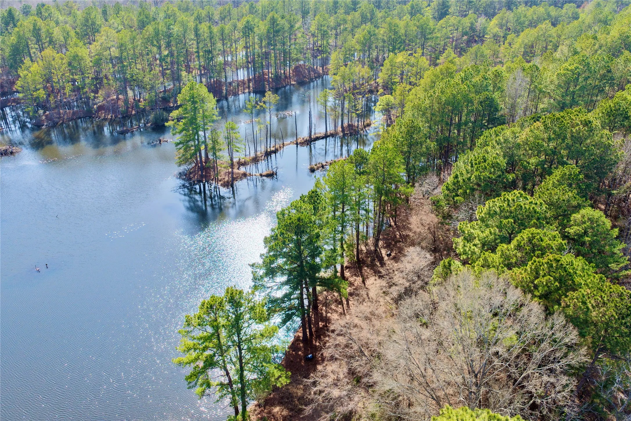 Ranch For Sale in Bowie County , 0000 Stateline Road, Texarkana, Texas 75501, 0, 0, Garage spaces, 0 Sqft, built in 0, mls#21221051, Real Estate Agent in Texarkana, Homes For Sale in Bowie county, Homes For Sale in Texarkana, Realtor in Texarkana Texas, Real Estate Brokerage Independent Realty Texas, Luminita Cordes Realtor