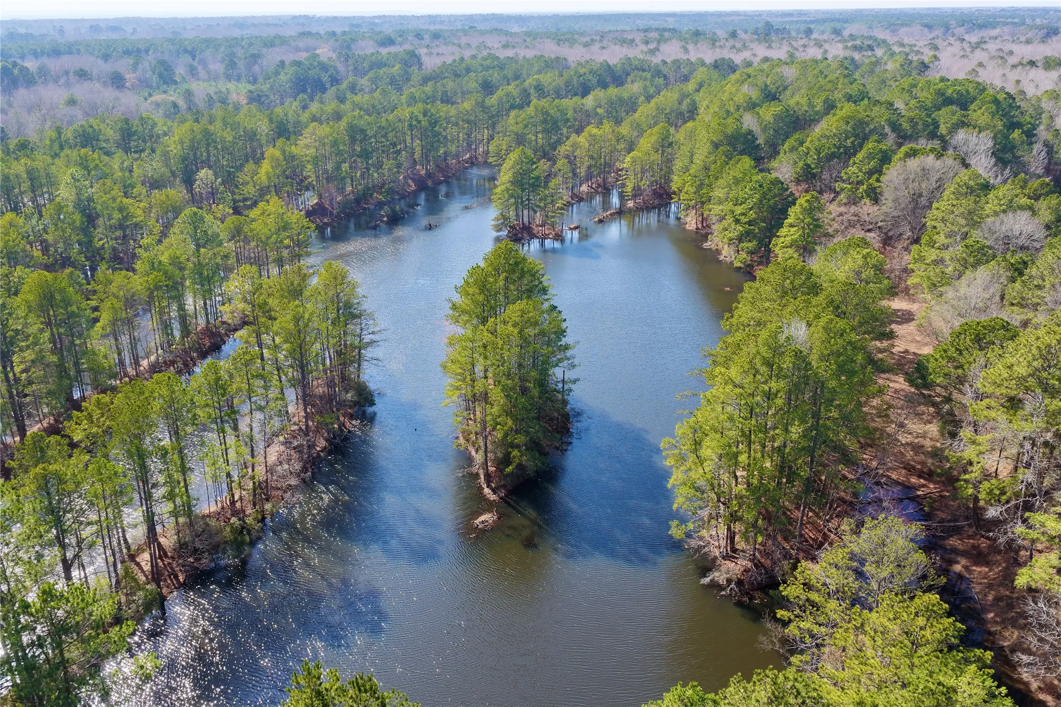 Ranch For Sale in Bowie County , 0000 Stateline Road, Texarkana, Texas 75501, 0, 0, Garage spaces, 0 Sqft, built in 0, mls#21221051, Real Estate Agent in Texarkana, Homes For Sale in Bowie county, Homes For Sale in Texarkana, Realtor in Texarkana Texas, Real Estate Brokerage Independent Realty Texas, Luminita Cordes Realtor
