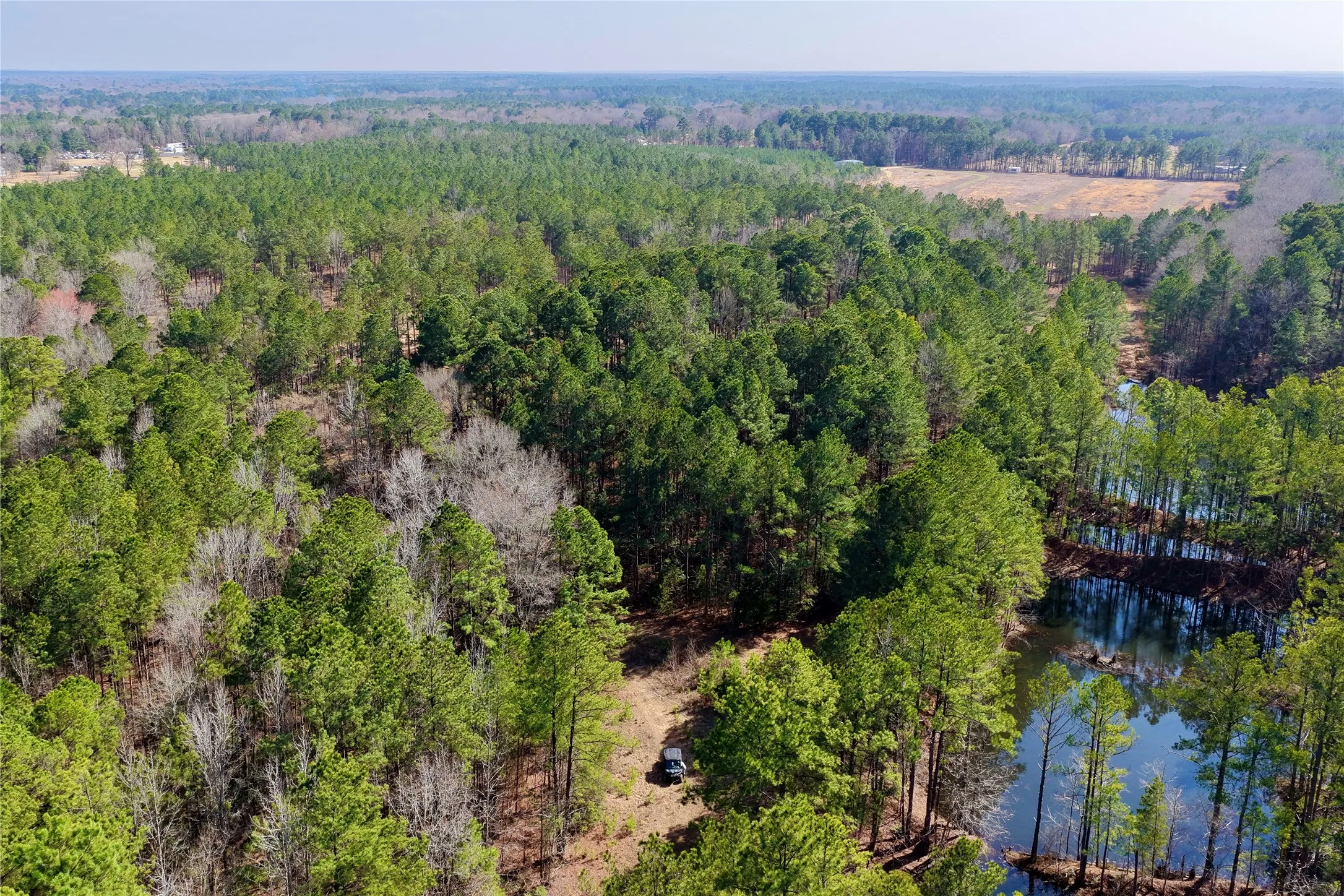 Ranch For Sale in Bowie County , 0000 Stateline Road, Texarkana, Texas 75501, 0, 0, Garage spaces, 0 Sqft, built in 0, mls#21221051, Real Estate Agent in Texarkana, Homes For Sale in Bowie county, Homes For Sale in Texarkana, Realtor in Texarkana Texas, Real Estate Brokerage Independent Realty Texas, Luminita Cordes Realtor