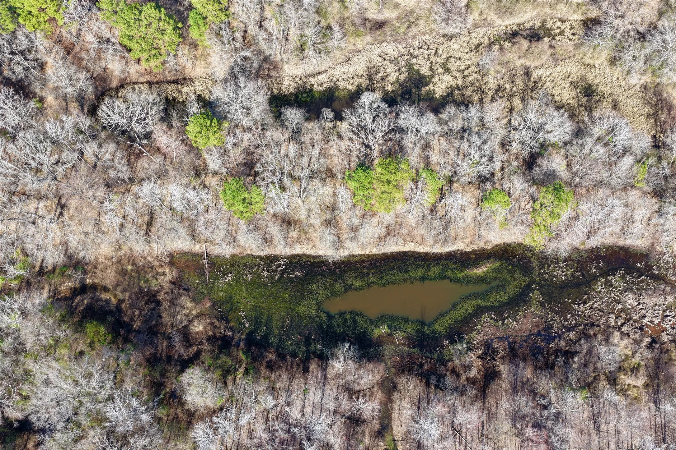 Ranch For Sale in Bowie County , 0000 Stateline Road, Texarkana, Texas 75501, 0, 0, Garage spaces, 0 Sqft, built in 0, mls#21221051, Real Estate Agent in Texarkana, Homes For Sale in Bowie county, Homes For Sale in Texarkana, Realtor in Texarkana Texas, Real Estate Brokerage Independent Realty Texas, Luminita Cordes Realtor