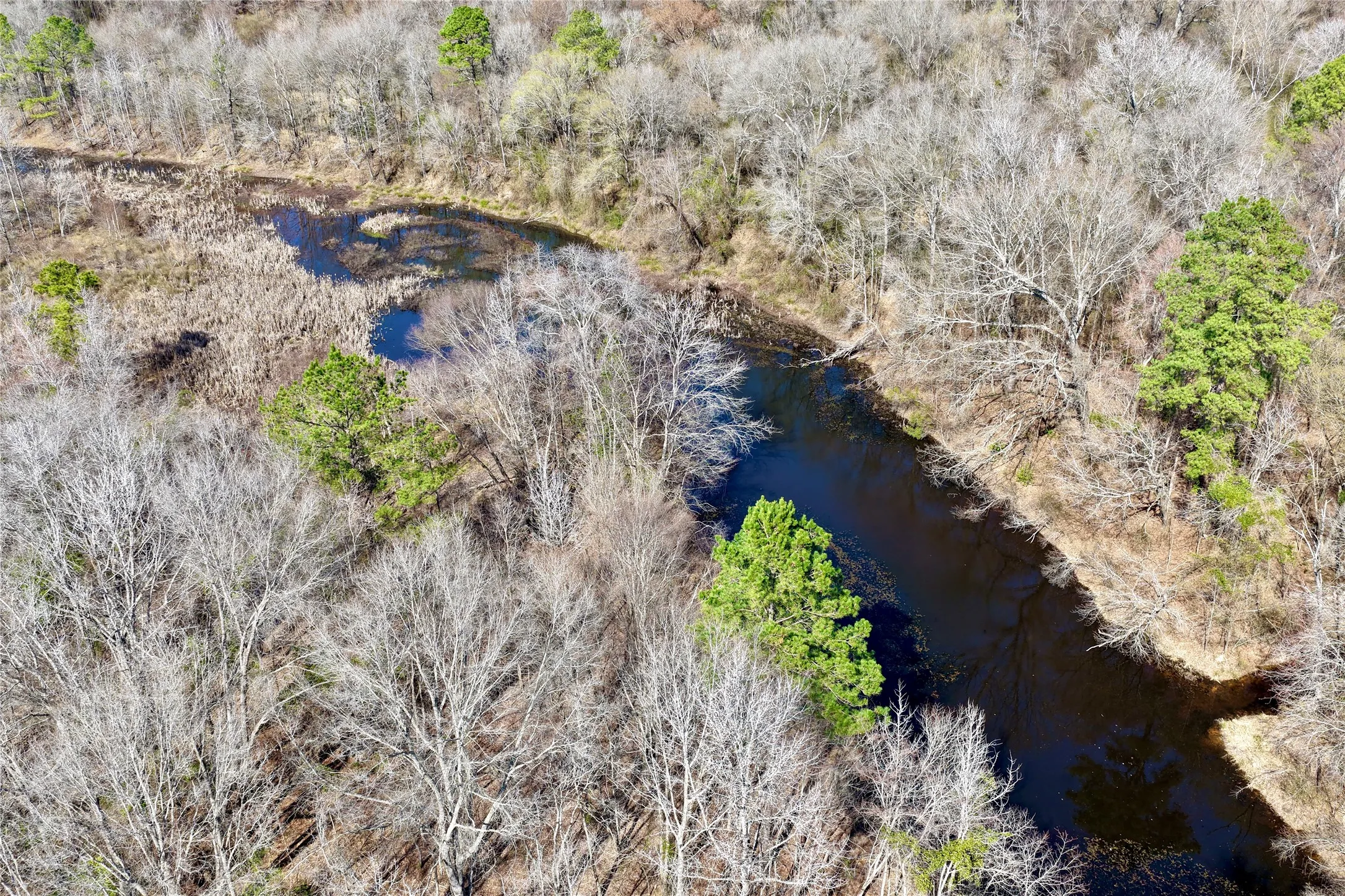 Ranch For Sale in Bowie County , 0000 Stateline Road, Texarkana, Texas 75501, 0, 0, Garage spaces, 0 Sqft, built in 0, mls#21221051, Real Estate Agent in Texarkana, Homes For Sale in Bowie county, Homes For Sale in Texarkana, Realtor in Texarkana Texas, Real Estate Brokerage Independent Realty Texas, Luminita Cordes Realtor