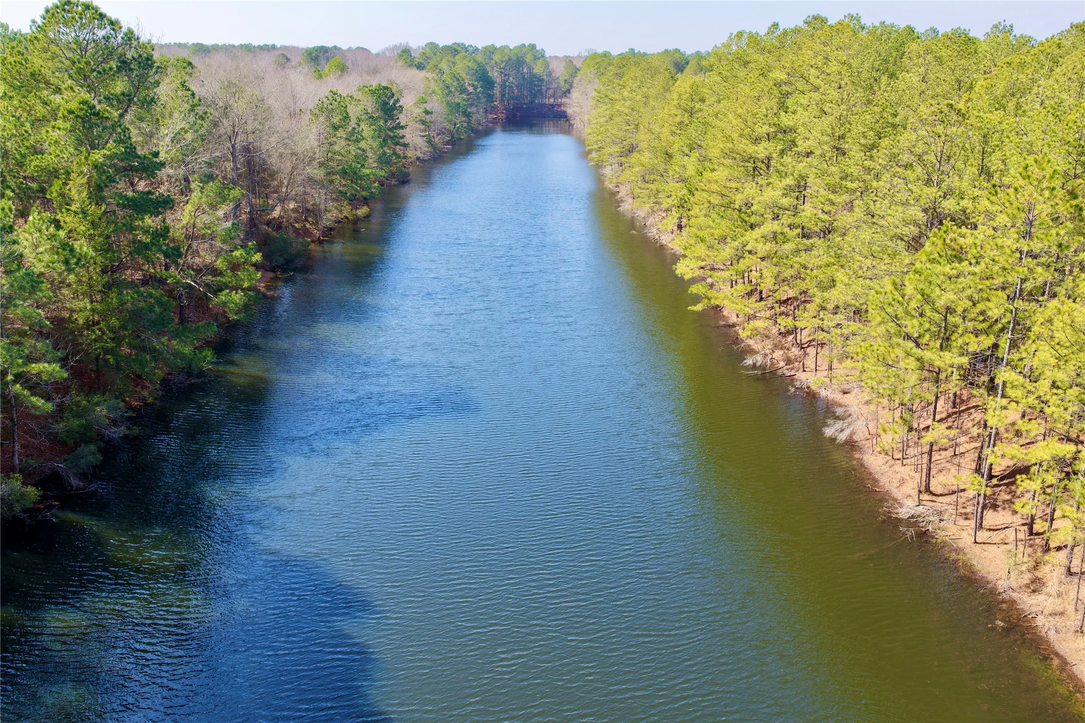 Ranch For Sale in Bowie County , 0000 Stateline Road, Texarkana, Texas 75501, 0, 0, Garage spaces, 0 Sqft, built in 0, mls#21221051, Real Estate Agent in Texarkana, Homes For Sale in Bowie county, Homes For Sale in Texarkana, Realtor in Texarkana Texas, Real Estate Brokerage Independent Realty Texas, Luminita Cordes Realtor
