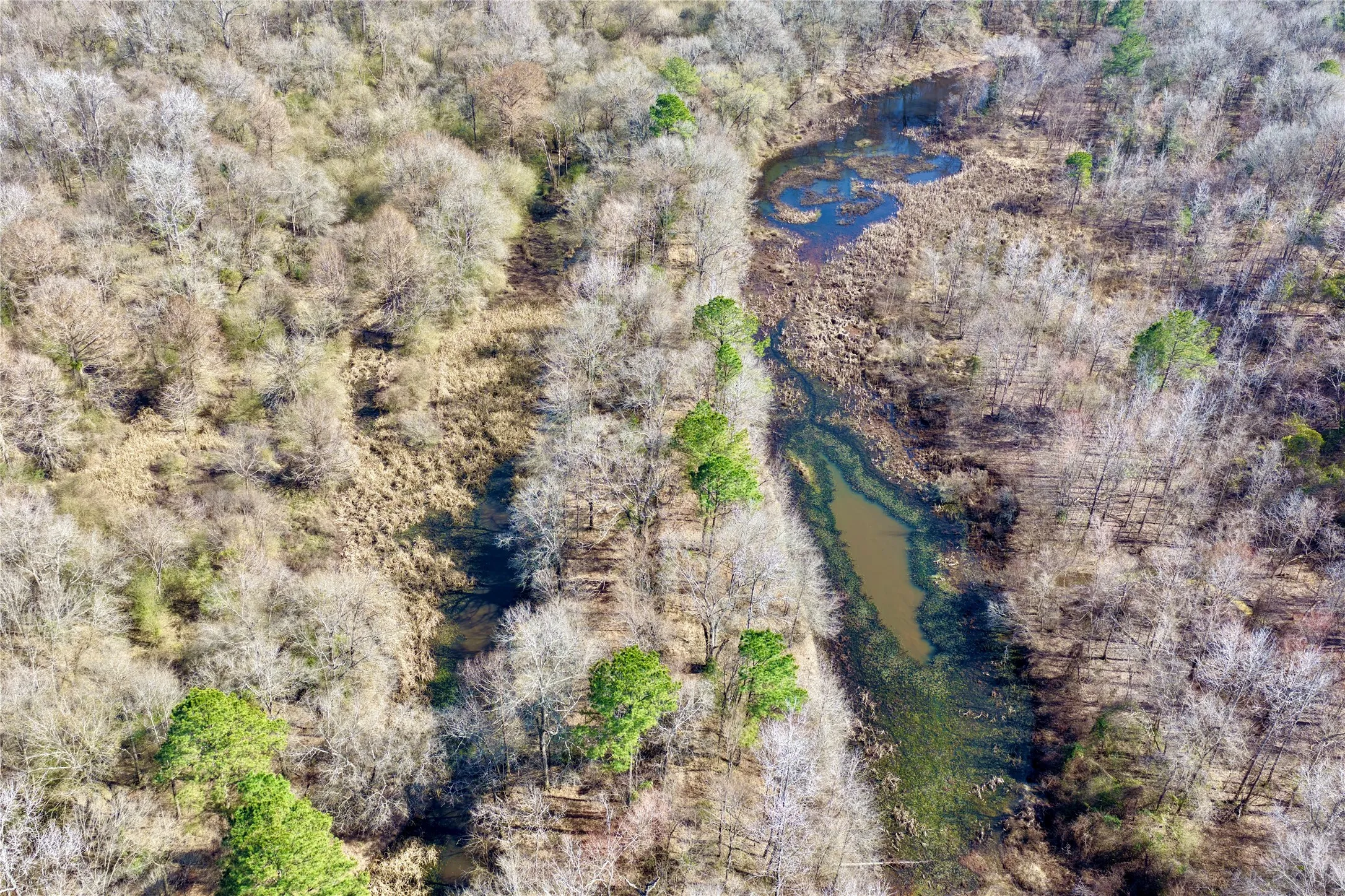 Ranch For Sale in Bowie County , 0000 Stateline Road, Texarkana, Texas 75501, 0, 0, Garage spaces, 0 Sqft, built in 0, mls#21221051, Real Estate Agent in Texarkana, Homes For Sale in Bowie county, Homes For Sale in Texarkana, Realtor in Texarkana Texas, Real Estate Brokerage Independent Realty Texas, Luminita Cordes Realtor