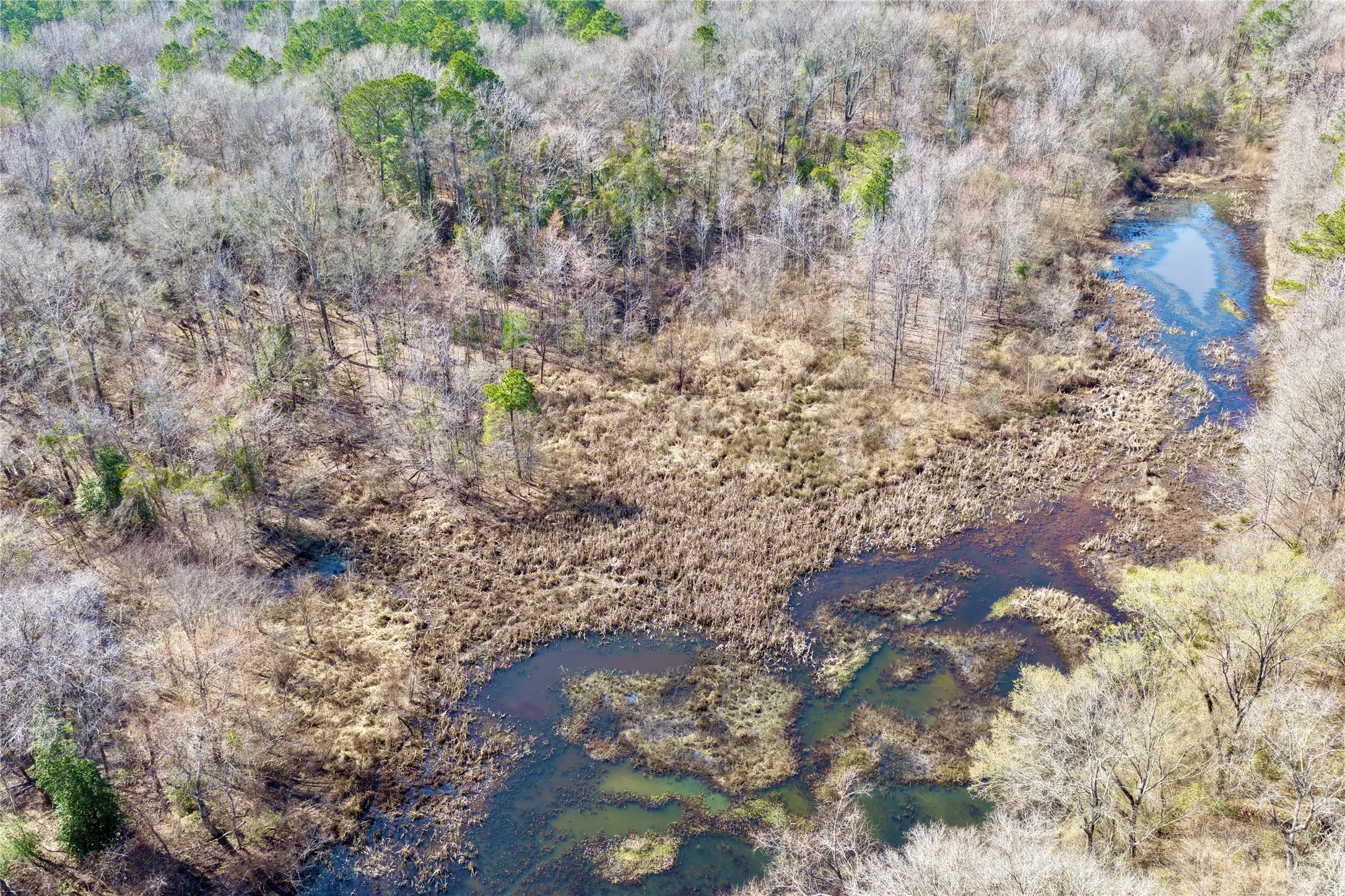 Ranch For Sale in Bowie County , 0000 Stateline Road, Texarkana, Texas 75501, 0, 0, Garage spaces, 0 Sqft, built in 0, mls#21221051, Real Estate Agent in Texarkana, Homes For Sale in Bowie county, Homes For Sale in Texarkana, Realtor in Texarkana Texas, Real Estate Brokerage Independent Realty Texas, Luminita Cordes Realtor