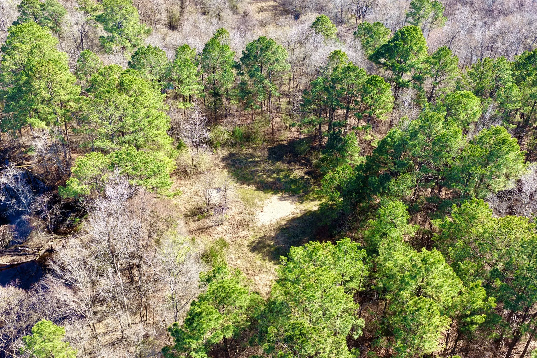 Ranch For Sale in Bowie County , 0000 Stateline Road, Texarkana, Texas 75501, 0, 0, Garage spaces, 0 Sqft, built in 0, mls#21221051, Real Estate Agent in Texarkana, Homes For Sale in Bowie county, Homes For Sale in Texarkana, Realtor in Texarkana Texas, Real Estate Brokerage Independent Realty Texas, Luminita Cordes Realtor