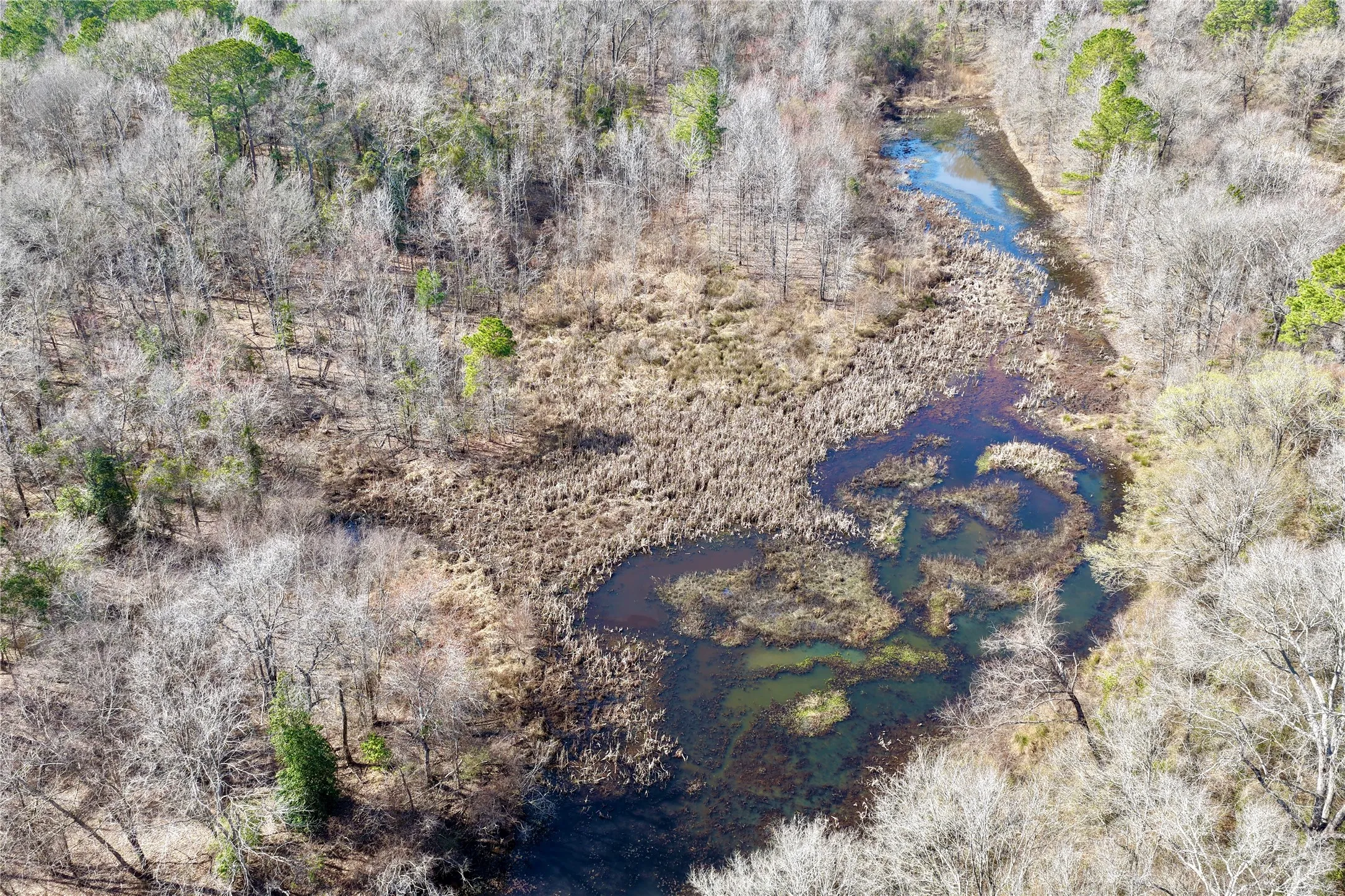 Ranch For Sale in Bowie County , 0000 Stateline Road, Texarkana, Texas 75501, 0, 0, Garage spaces, 0 Sqft, built in 0, mls#21221051, Real Estate Agent in Texarkana, Homes For Sale in Bowie county, Homes For Sale in Texarkana, Realtor in Texarkana Texas, Real Estate Brokerage Independent Realty Texas, Luminita Cordes Realtor