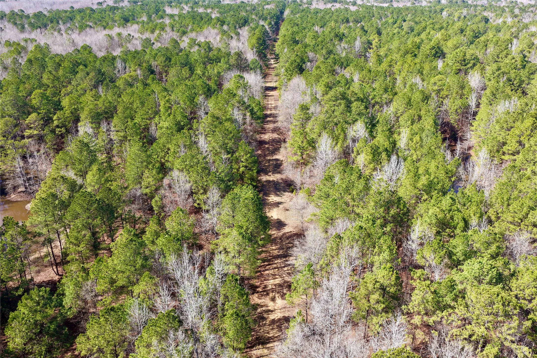 Ranch For Sale in Bowie County , 0000 Stateline Road, Texarkana, Texas 75501, 0, 0, Garage spaces, 0 Sqft, built in 0, mls#21221051, Real Estate Agent in Texarkana, Homes For Sale in Bowie county, Homes For Sale in Texarkana, Realtor in Texarkana Texas, Real Estate Brokerage Independent Realty Texas, Luminita Cordes Realtor
