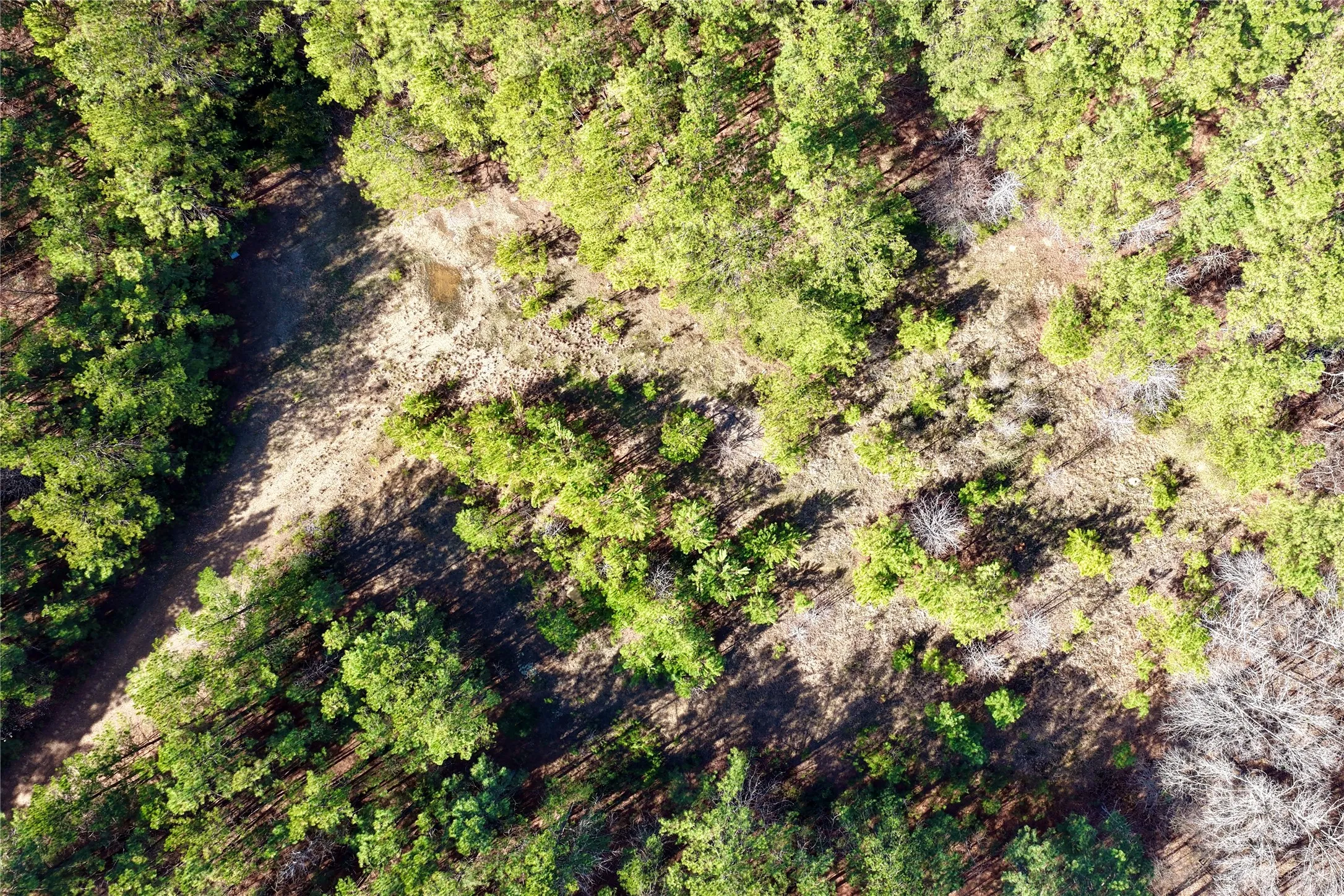 Ranch For Sale in Bowie County , 0000 Stateline Road, Texarkana, Texas 75501, 0, 0, Garage spaces, 0 Sqft, built in 0, mls#21221051, Real Estate Agent in Texarkana, Homes For Sale in Bowie county, Homes For Sale in Texarkana, Realtor in Texarkana Texas, Real Estate Brokerage Independent Realty Texas, Luminita Cordes Realtor
