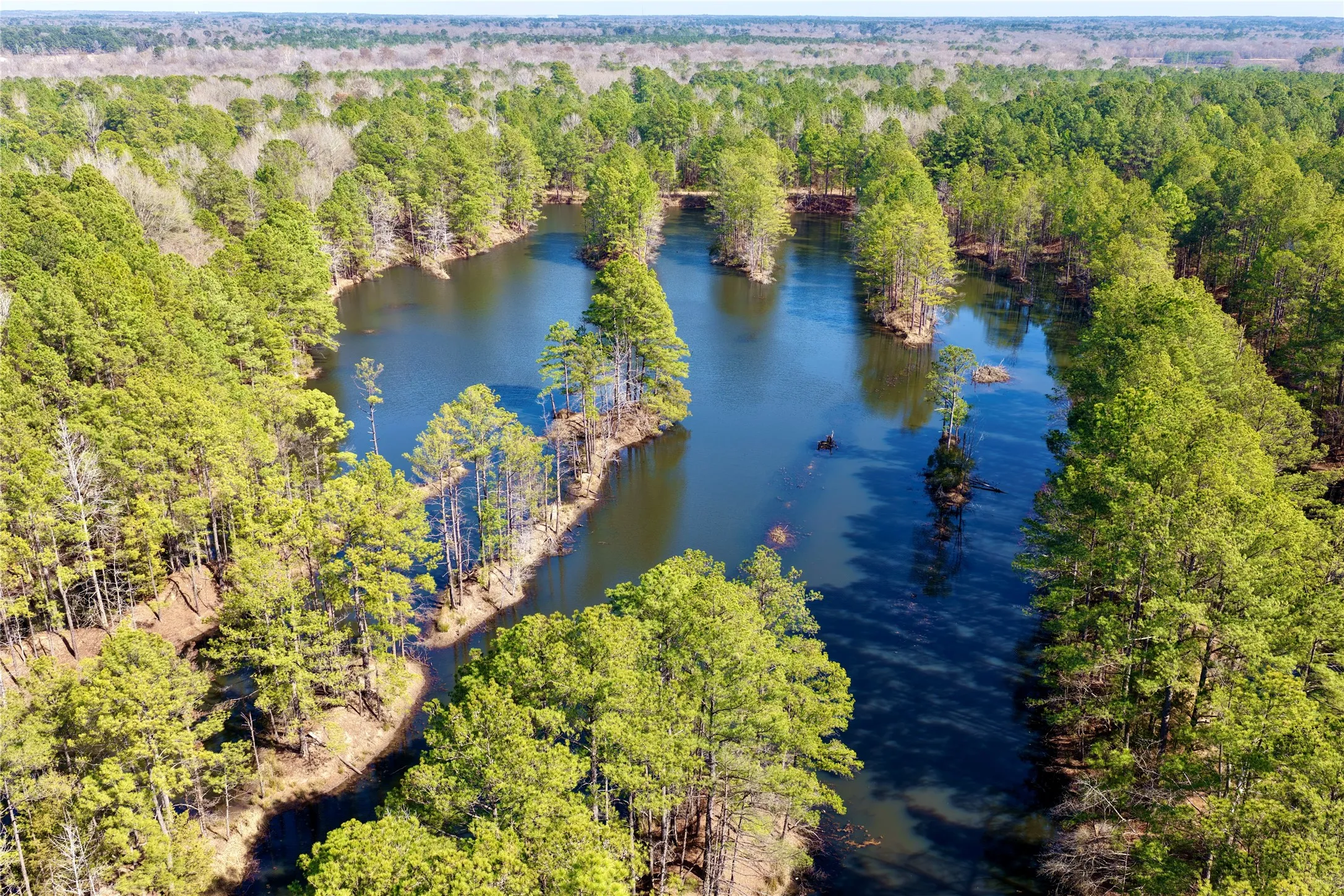 Ranch For Sale in Bowie County , 0000 Stateline Road, Texarkana, Texas 75501, 0, 0, Garage spaces, 0 Sqft, built in 0, mls#21221051, Real Estate Agent in Texarkana, Homes For Sale in Bowie county, Homes For Sale in Texarkana, Realtor in Texarkana Texas, Real Estate Brokerage Independent Realty Texas, Luminita Cordes Realtor