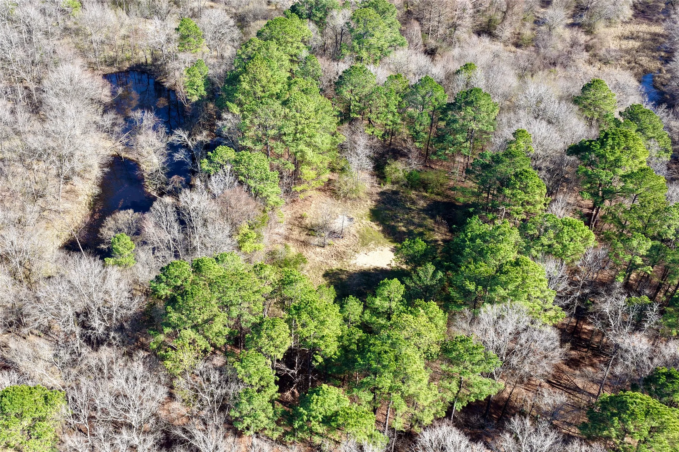 Ranch For Sale in Bowie County , 0000 Stateline Road, Texarkana, Texas 75501, 0, 0, Garage spaces, 0 Sqft, built in 0, mls#21221051, Real Estate Agent in Texarkana, Homes For Sale in Bowie county, Homes For Sale in Texarkana, Realtor in Texarkana Texas, Real Estate Brokerage Independent Realty Texas, Luminita Cordes Realtor