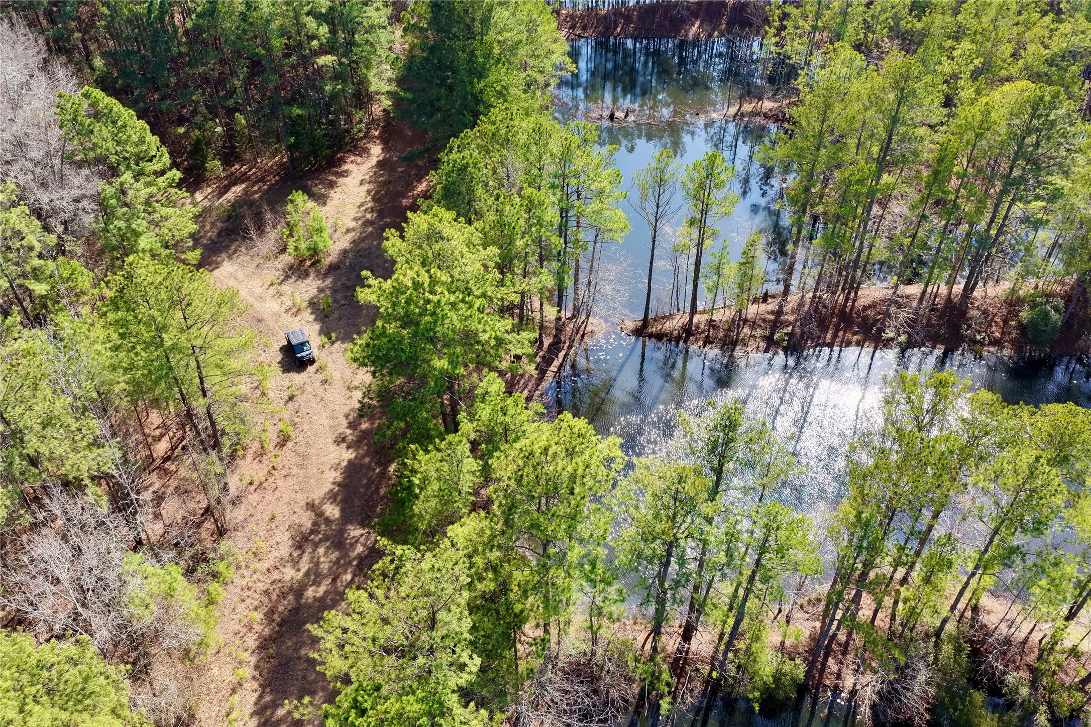 Ranch For Sale in Bowie County , 0000 Stateline Road, Texarkana, Texas 75501, 0, 0, Garage spaces, 0 Sqft, built in 0, mls#21221051, Real Estate Agent in Texarkana, Homes For Sale in Bowie county, Homes For Sale in Texarkana, Realtor in Texarkana Texas, Real Estate Brokerage Independent Realty Texas, Luminita Cordes Realtor