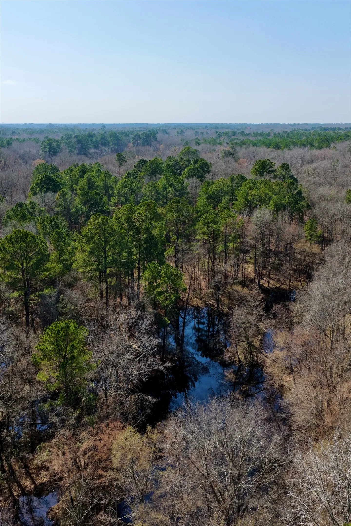 Ranch For Sale in Bowie County , 0000 Stateline Road, Texarkana, Texas 75501, 0, 0, Garage spaces, 0 Sqft, built in 0, mls#21221051, Real Estate Agent in Texarkana, Homes For Sale in Bowie county, Homes For Sale in Texarkana, Realtor in Texarkana Texas, Real Estate Brokerage Independent Realty Texas, Luminita Cordes Realtor