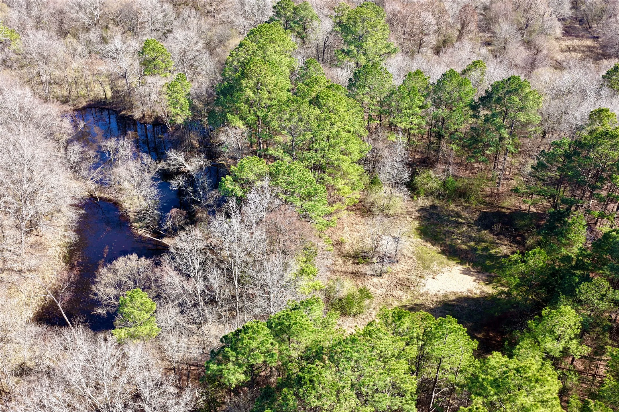 Ranch For Sale in Bowie County , 0000 Stateline Road, Texarkana, Texas 75501, 0, 0, Garage spaces, 0 Sqft, built in 0, mls#21221051, Real Estate Agent in Texarkana, Homes For Sale in Bowie county, Homes For Sale in Texarkana, Realtor in Texarkana Texas, Real Estate Brokerage Independent Realty Texas, Luminita Cordes Realtor