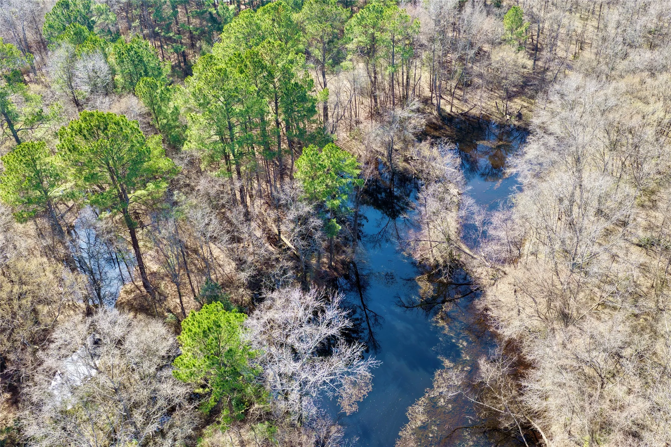 Ranch For Sale in Bowie County , 0000 Stateline Road, Texarkana, Texas 75501, 0, 0, Garage spaces, 0 Sqft, built in 0, mls#21221051, Real Estate Agent in Texarkana, Homes For Sale in Bowie county, Homes For Sale in Texarkana, Realtor in Texarkana Texas, Real Estate Brokerage Independent Realty Texas, Luminita Cordes Realtor