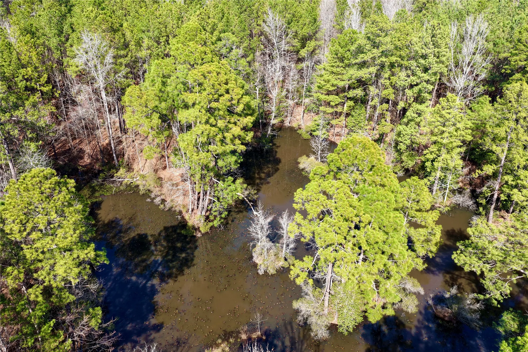 Ranch For Sale in Bowie County , 0000 Stateline Road, Texarkana, Texas 75501, 0, 0, Garage spaces, 0 Sqft, built in 0, mls#21221051, Real Estate Agent in Texarkana, Homes For Sale in Bowie county, Homes For Sale in Texarkana, Realtor in Texarkana Texas, Real Estate Brokerage Independent Realty Texas, Luminita Cordes Realtor