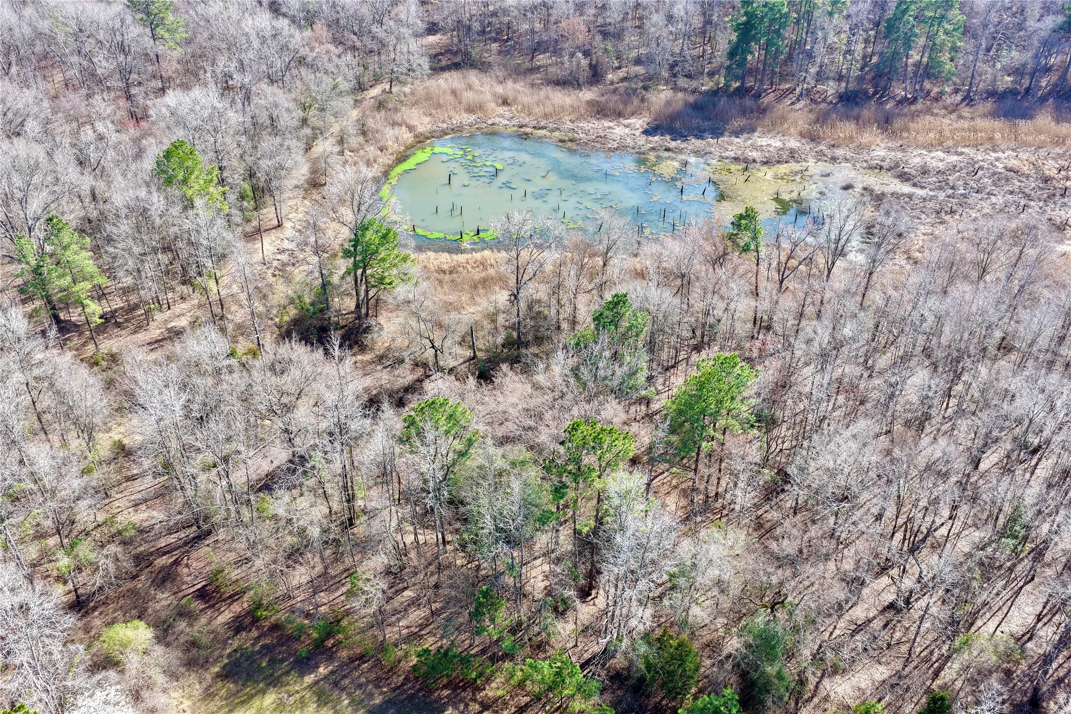 Ranch For Sale in Bowie County , 0000 Stateline Road, Texarkana, Texas 75501, 0, 0, Garage spaces, 0 Sqft, built in 0, mls#21221051, Real Estate Agent in Texarkana, Homes For Sale in Bowie county, Homes For Sale in Texarkana, Realtor in Texarkana Texas, Real Estate Brokerage Independent Realty Texas, Luminita Cordes Realtor