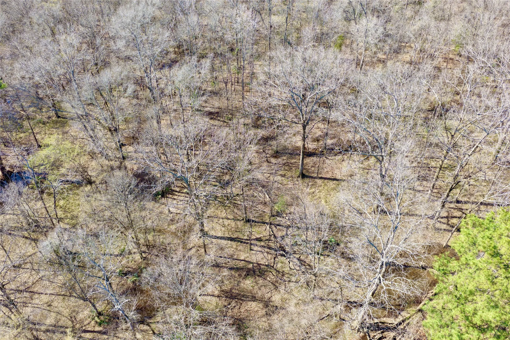 Ranch For Sale in Bowie County , 0000 Stateline Road, Texarkana, Texas 75501, 0, 0, Garage spaces, 0 Sqft, built in 0, mls#21221051, Real Estate Agent in Texarkana, Homes For Sale in Bowie county, Homes For Sale in Texarkana, Realtor in Texarkana Texas, Real Estate Brokerage Independent Realty Texas, Luminita Cordes Realtor