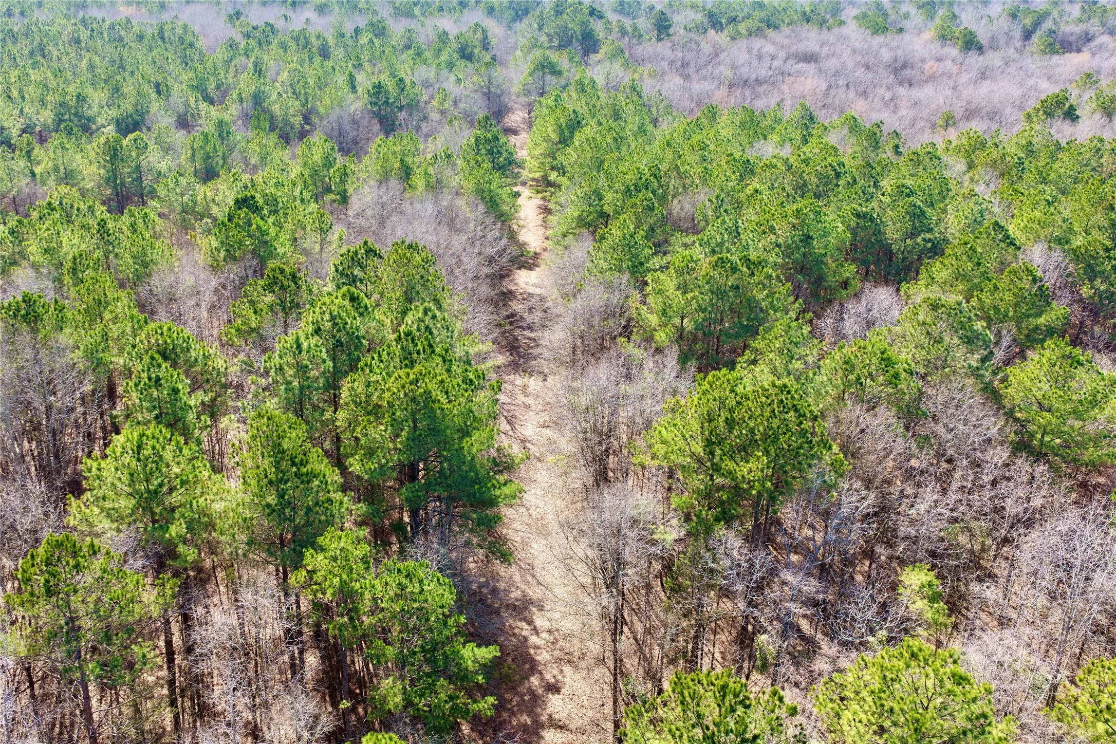 Ranch For Sale in Bowie County , 0000 Stateline Road, Texarkana, Texas 75501, 0, 0, Garage spaces, 0 Sqft, built in 0, mls#21221051, Real Estate Agent in Texarkana, Homes For Sale in Bowie county, Homes For Sale in Texarkana, Realtor in Texarkana Texas, Real Estate Brokerage Independent Realty Texas, Luminita Cordes Realtor